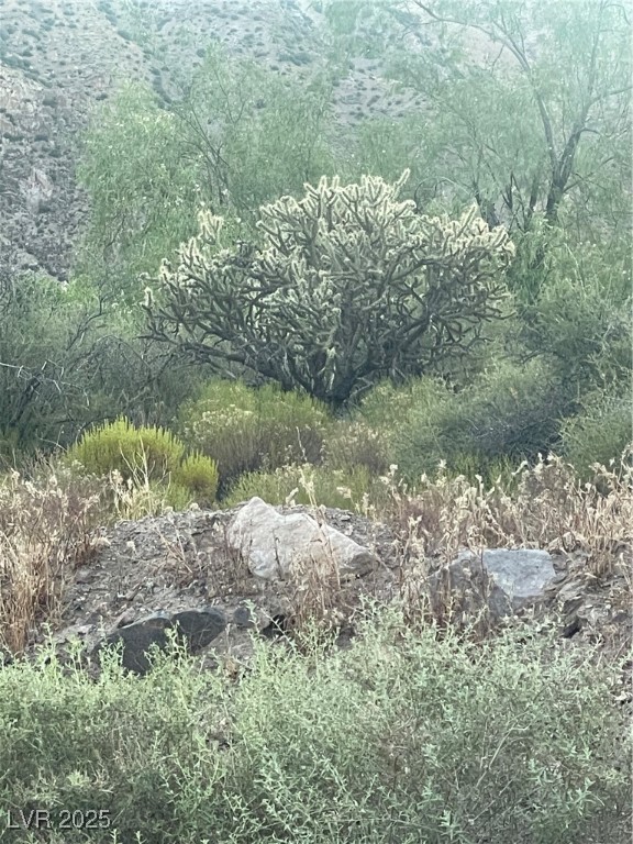 Carp Road Caliente, NV 89008 - Photo 43 of 43 View of landscape