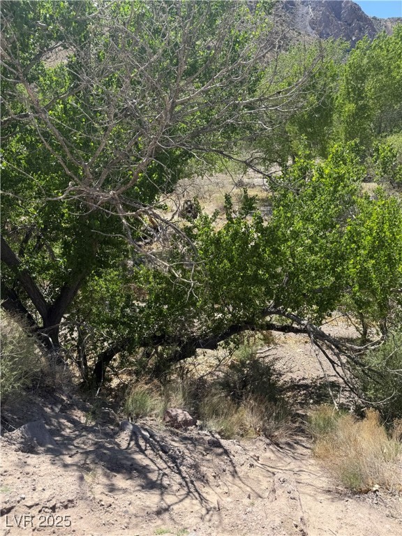Carp Road Caliente, NV 89008 - Photo 7 of 43 View of nature featuring a mountain view