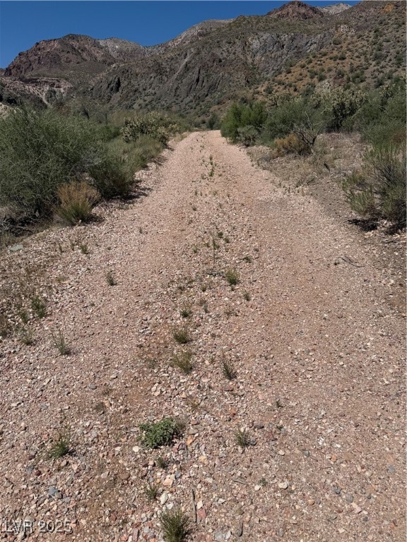 Carp Road Caliente, NV 89008 - Photo 9 of 43 Path to Camping area