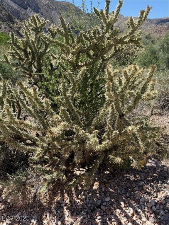 Carp Road Caliente, NV 89008 - Photo 10 of 43 Pro