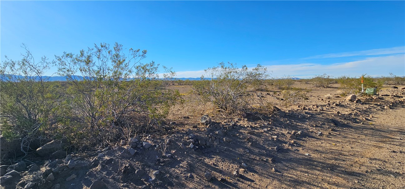 Lot 152 South Bacobi Road Golden Valley, AZ 86413 - Photo 3 of 11 View of local wilderness