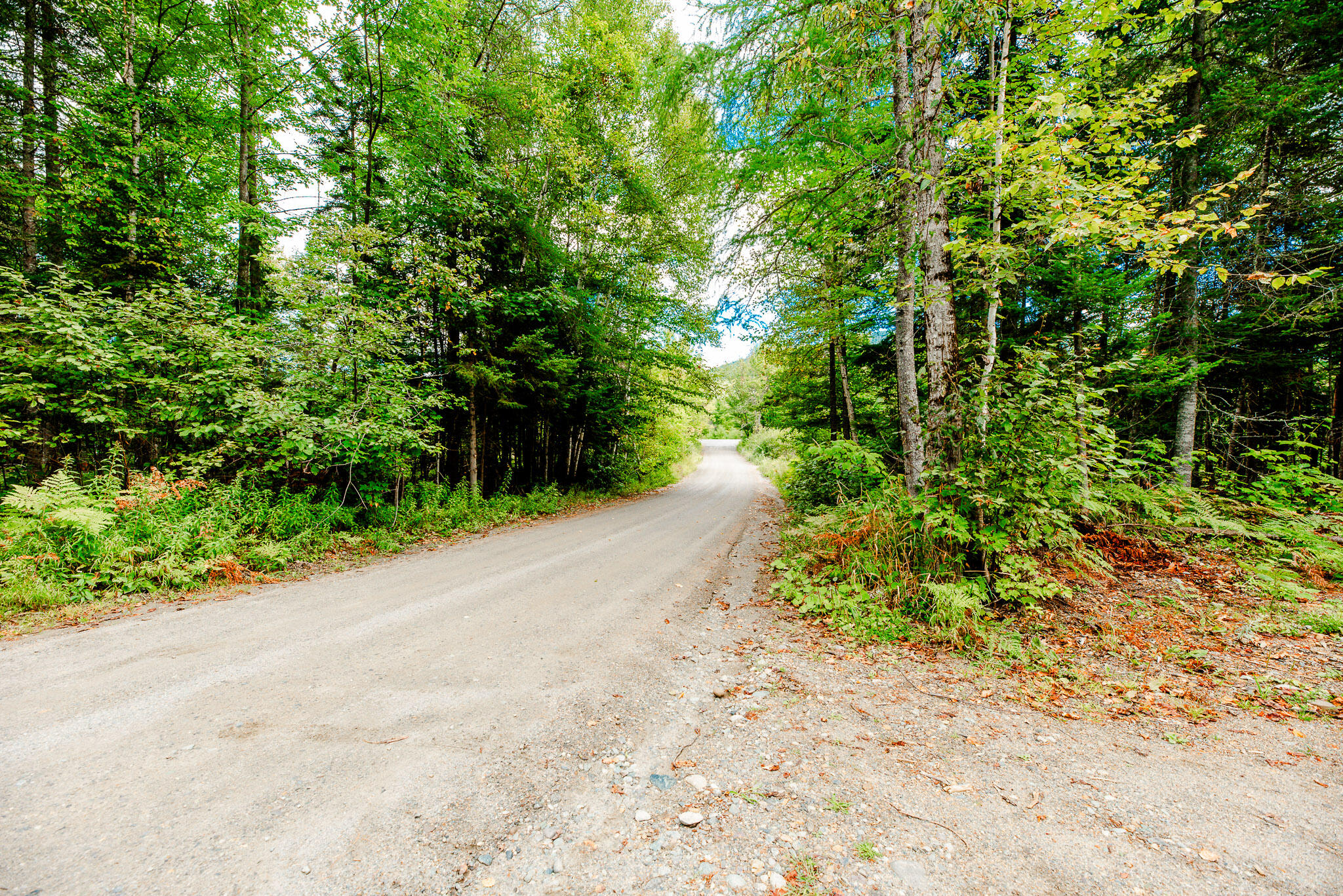 14 Dam Road Stratton, ME 04982 - Photo 28 of 29 Magical Moments Photography-26