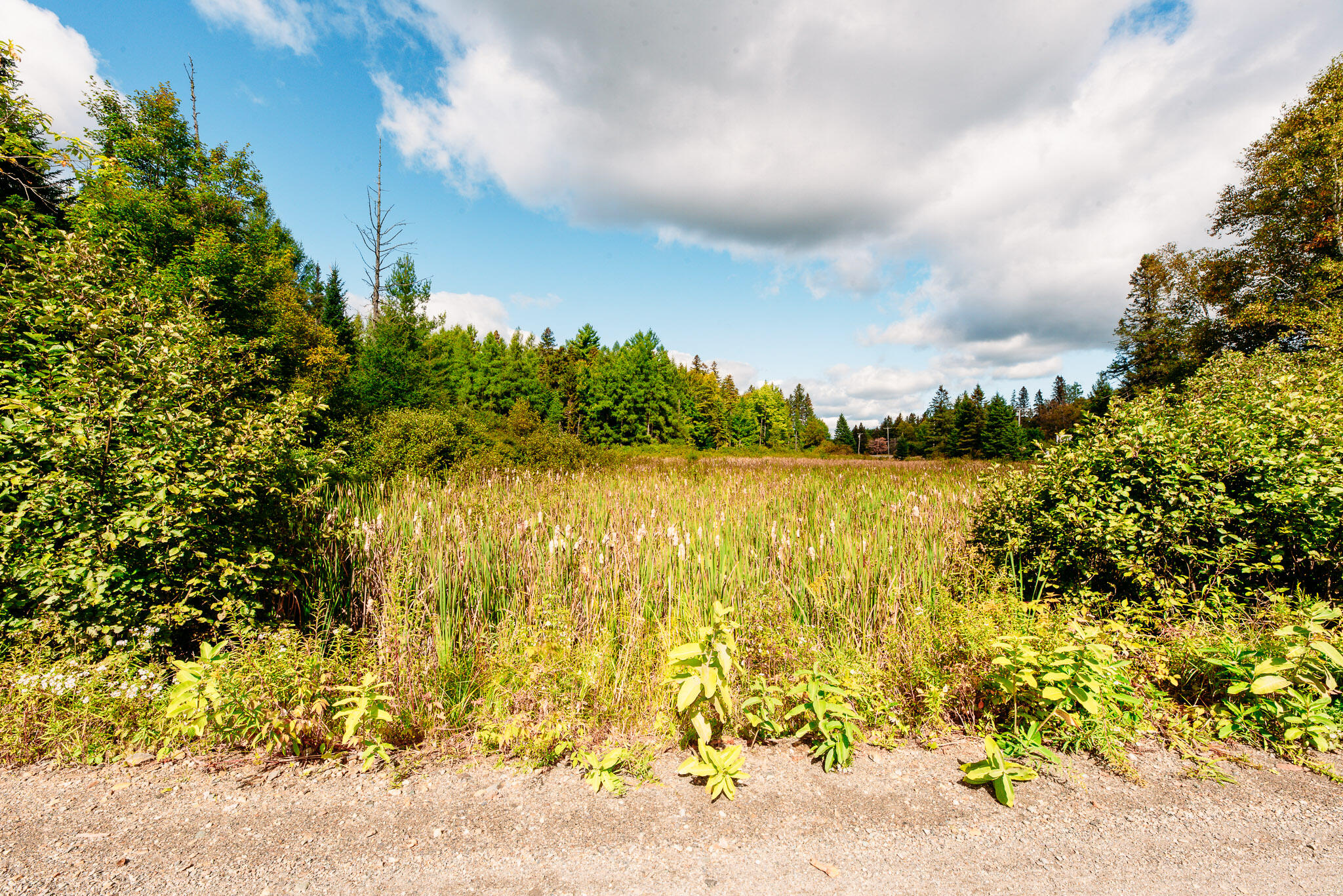 14 Dam Road Stratton, ME 04982 - Photo 29 of 29 Magical Moments Photography-29