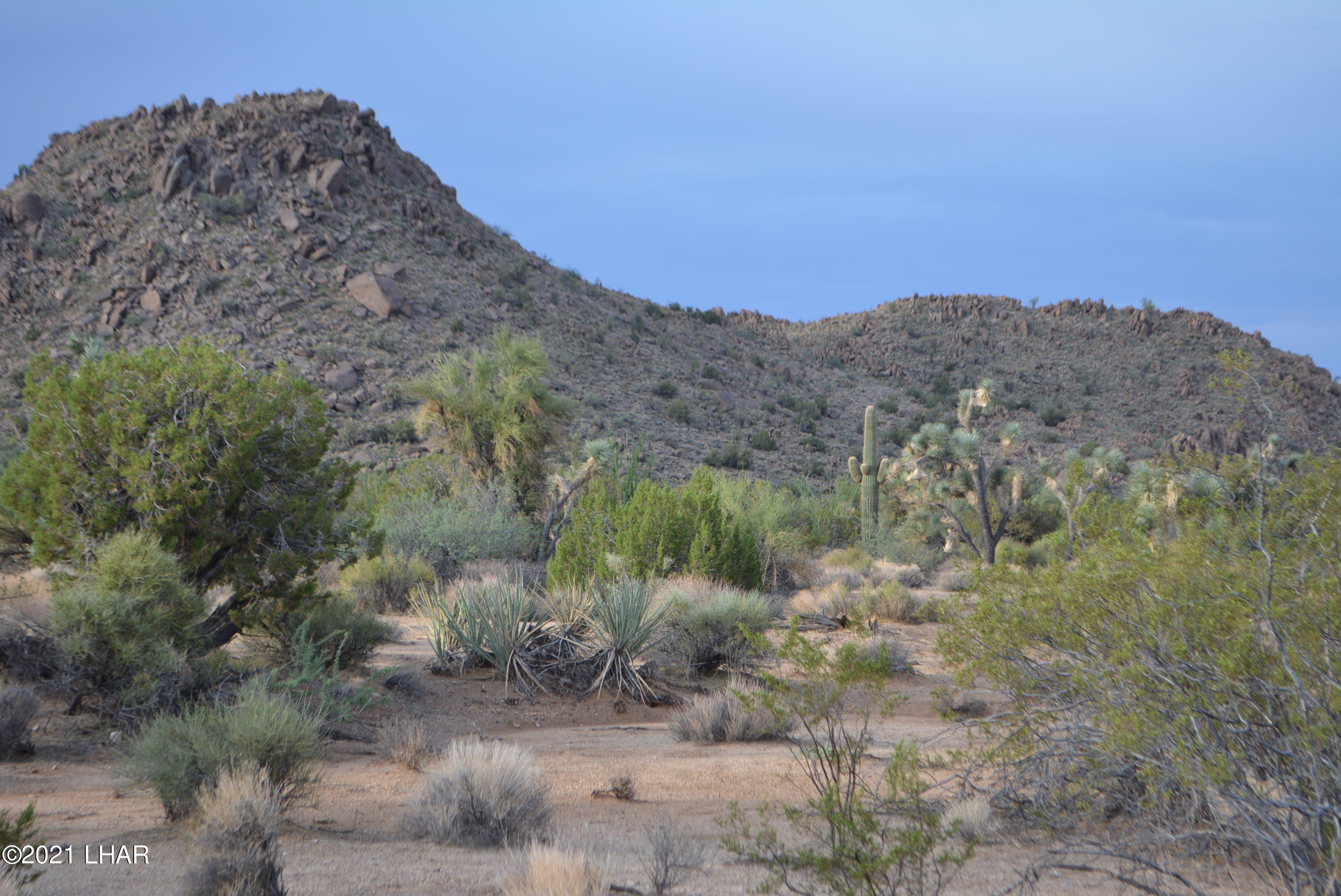 8 South Gold Mine Road Yucca, AZ 86438 - Photo 1 of 41 DSC_0068