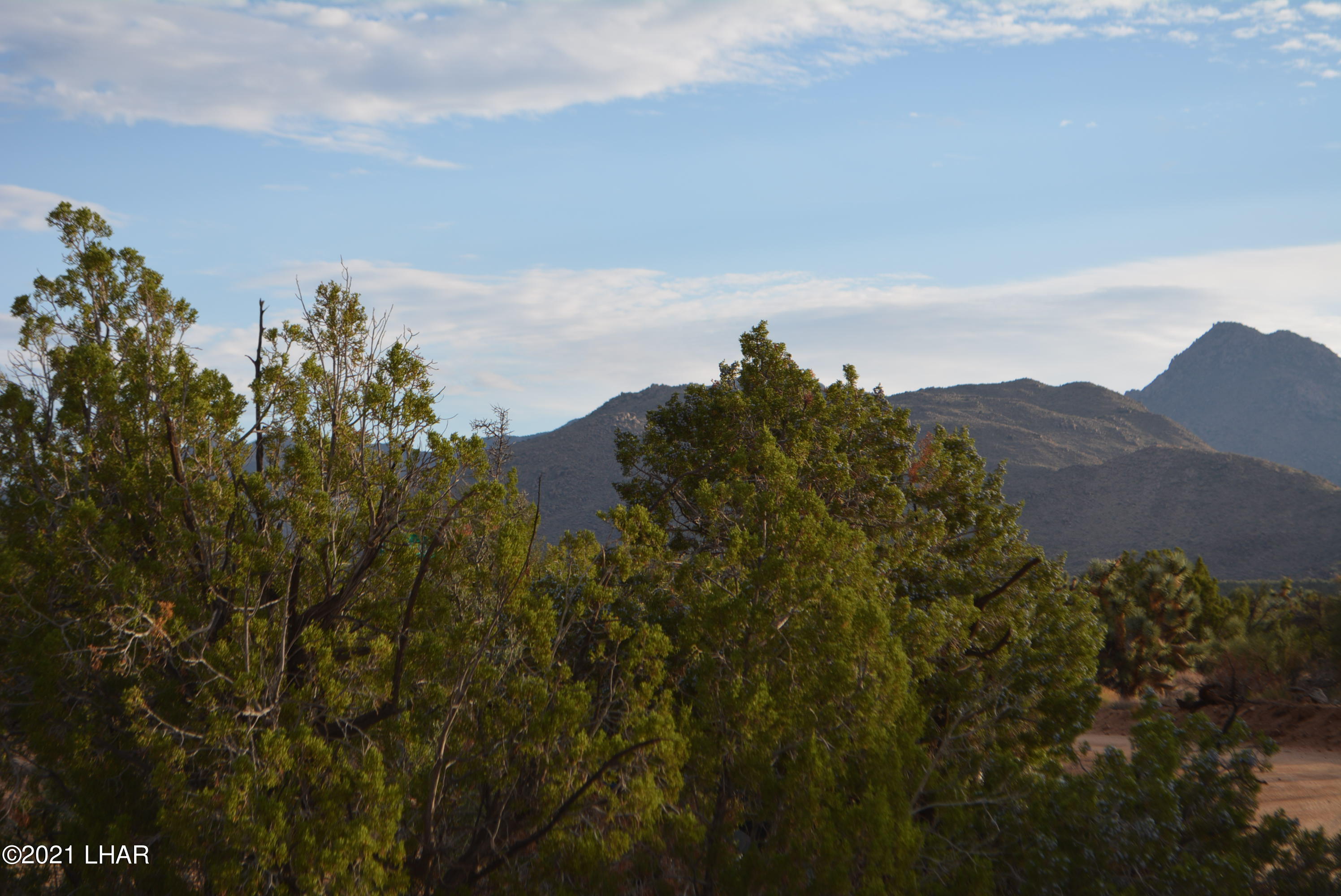 8 South Gold Mine Road Yucca, AZ 86438 - Photo 11 of 41 DSC_0062
