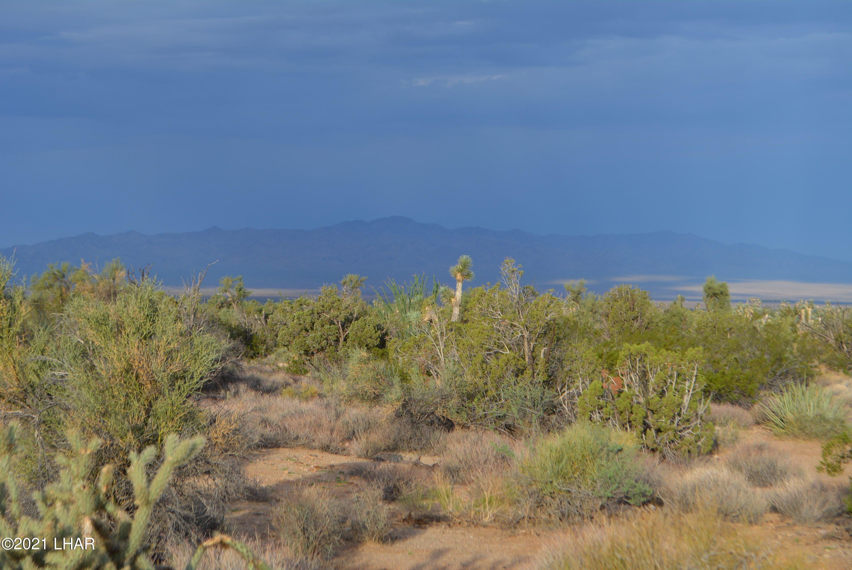 8 South Gold Mine Road Yucca, AZ 86438 - Photo 14 of 41 DSC_0065