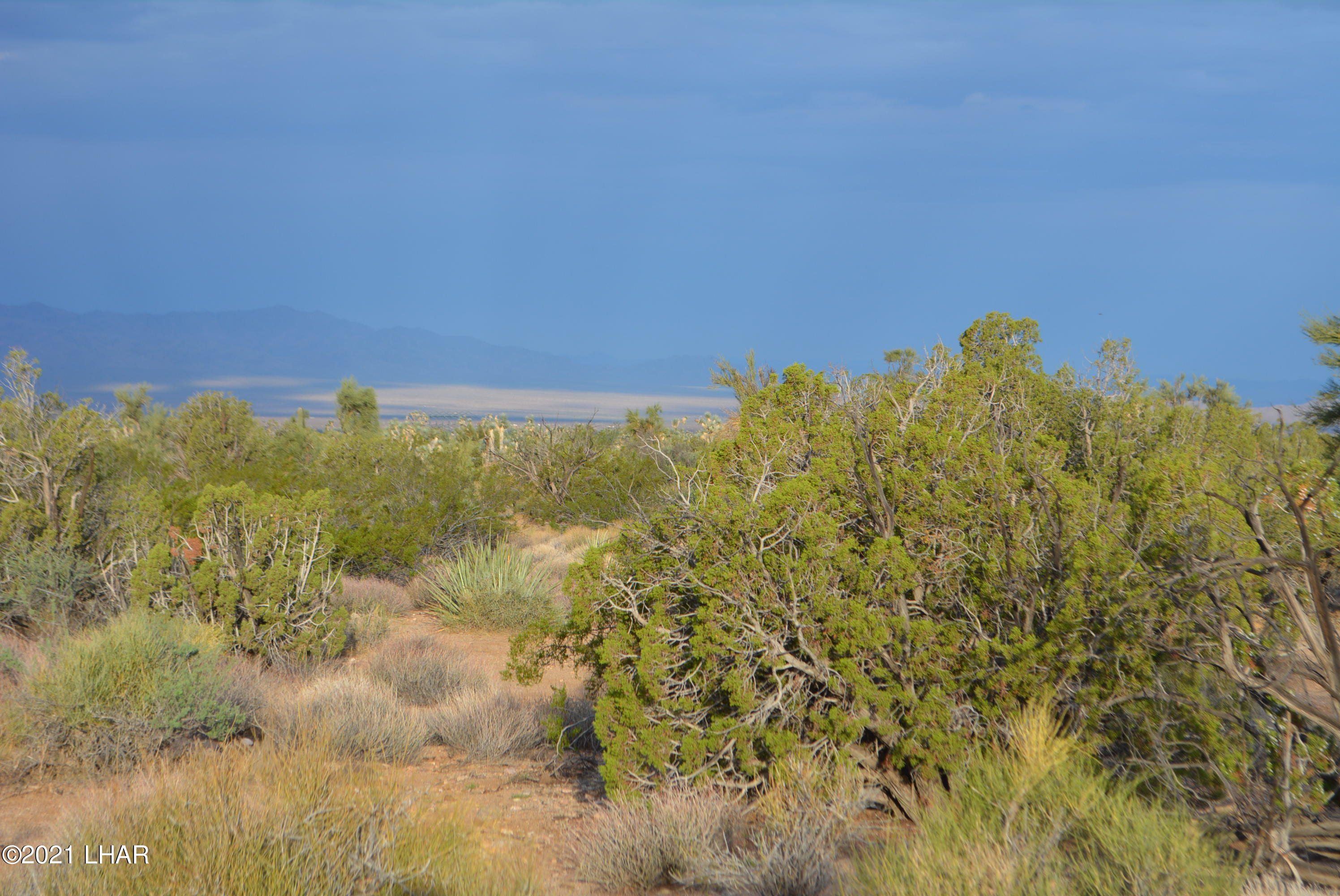 8 South Gold Mine Road Yucca, AZ 86438 - Photo 15 of 41 DSC_0066