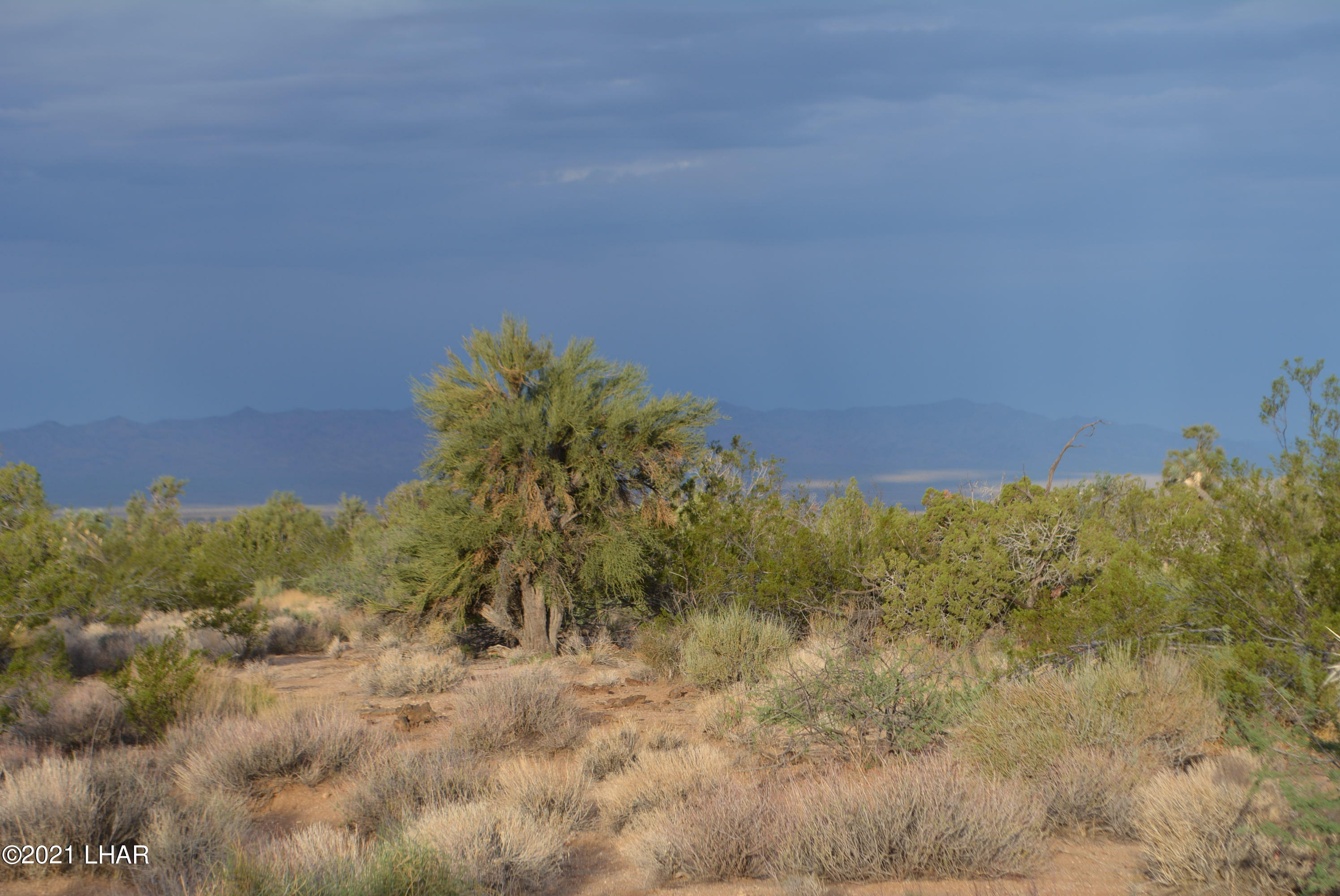8 South Gold Mine Road Yucca, AZ 86438 - Photo 16 of 41 DSC_0067