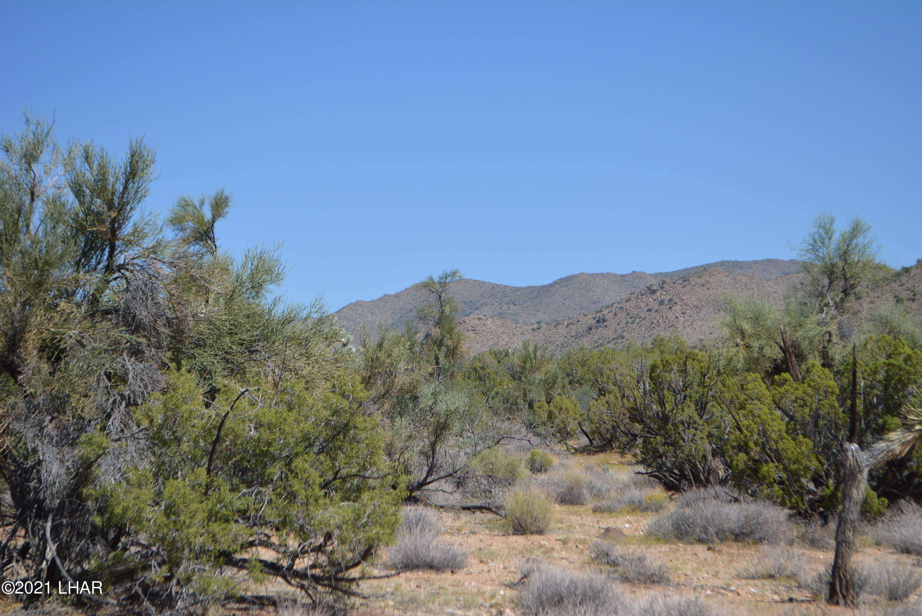 8 South Gold Mine Road Yucca, AZ 86438 - Photo 17 of 41 DSC_0347