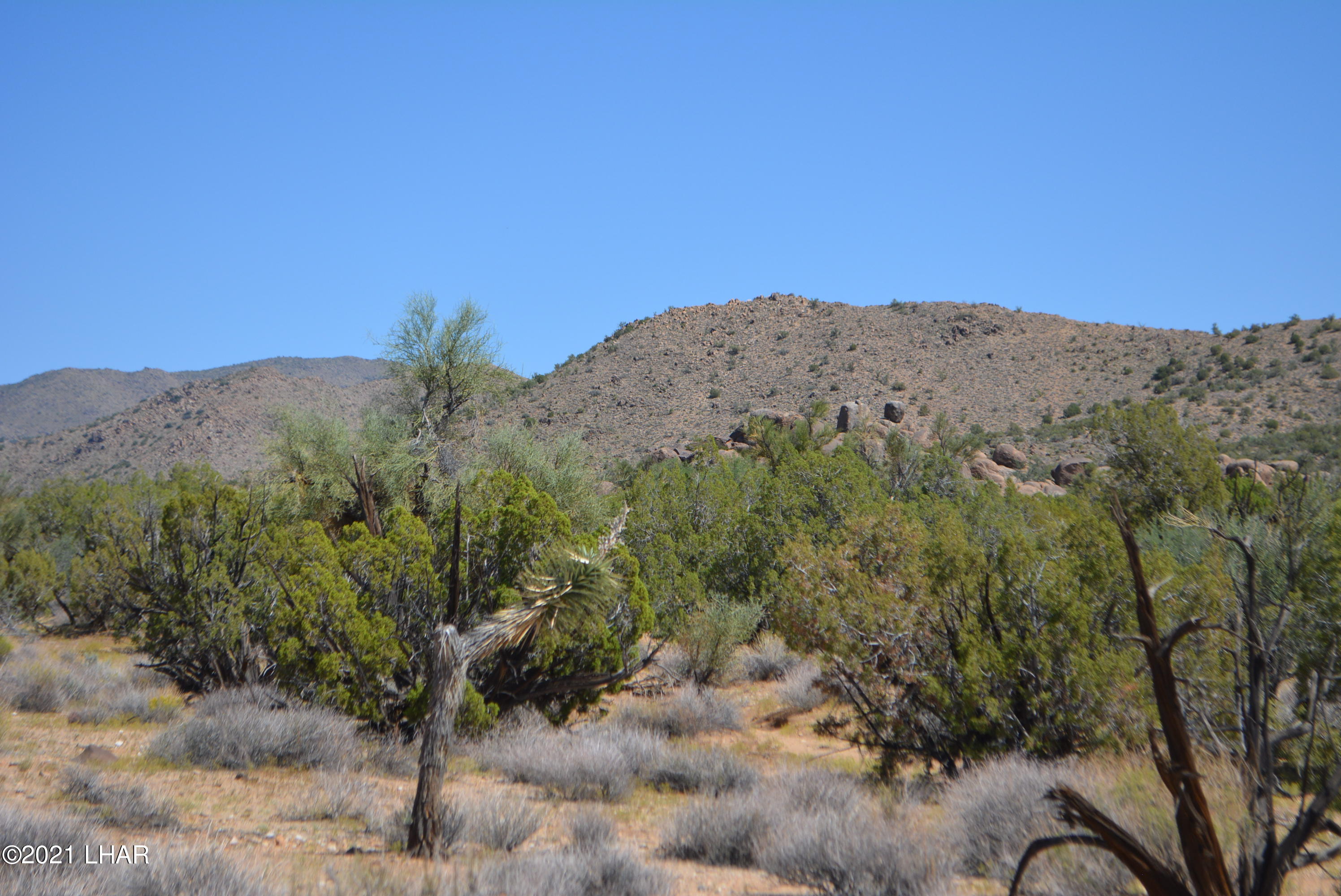 8 South Gold Mine Road Yucca, AZ 86438 - Photo 18 of 41 DSC_0348