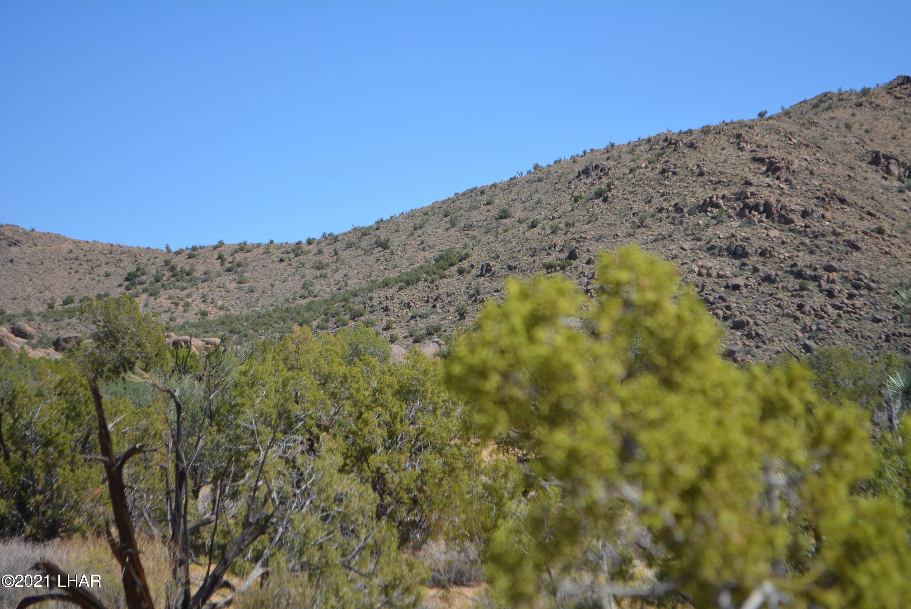 8 South Gold Mine Road Yucca, AZ 86438 - Photo 19 of 41 DSC_0349