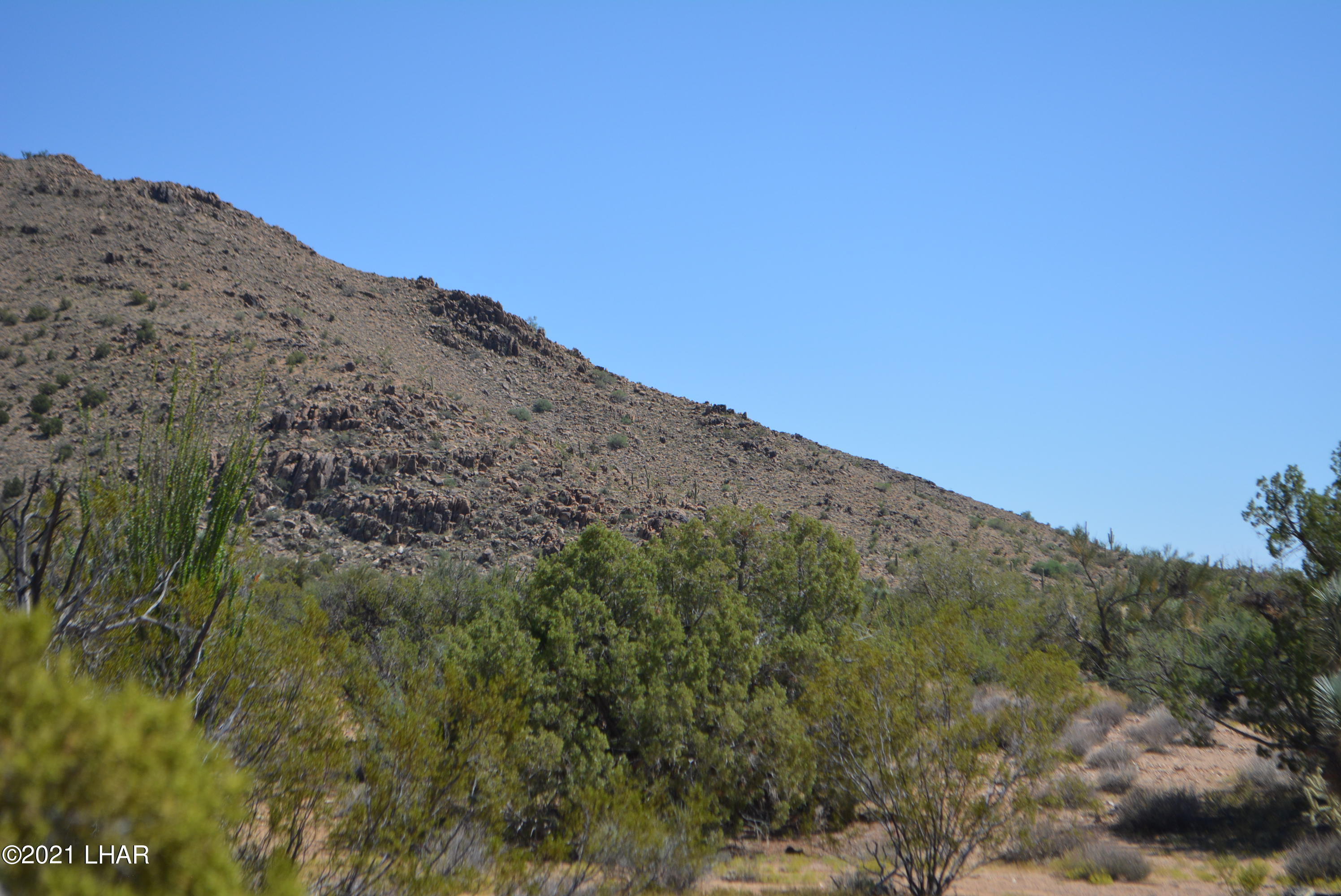 8 South Gold Mine Road Yucca, AZ 86438 - Photo 21 of 41 DSC_0351