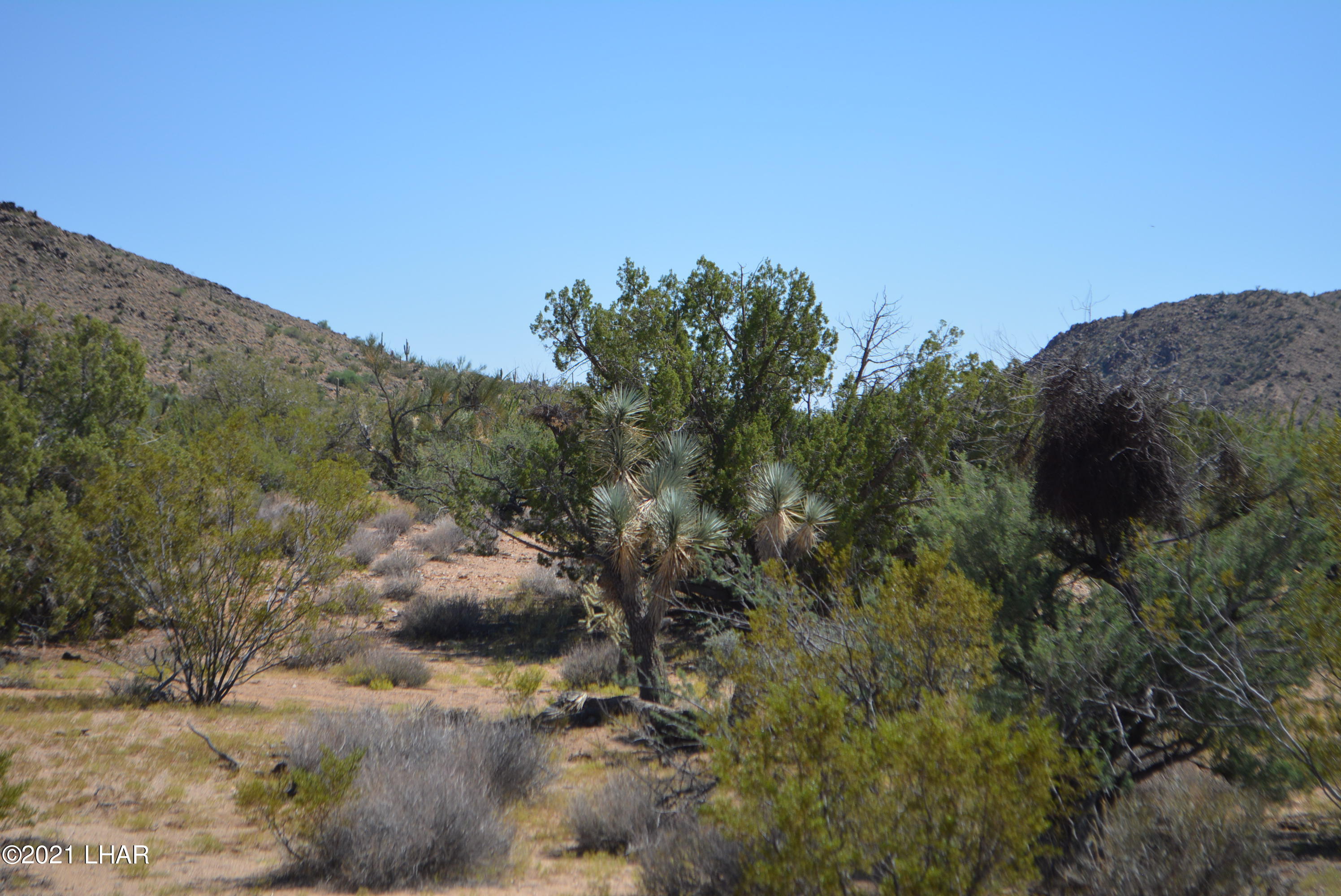 8 South Gold Mine Road Yucca, AZ 86438 - Photo 22 of 41 DSC_0352