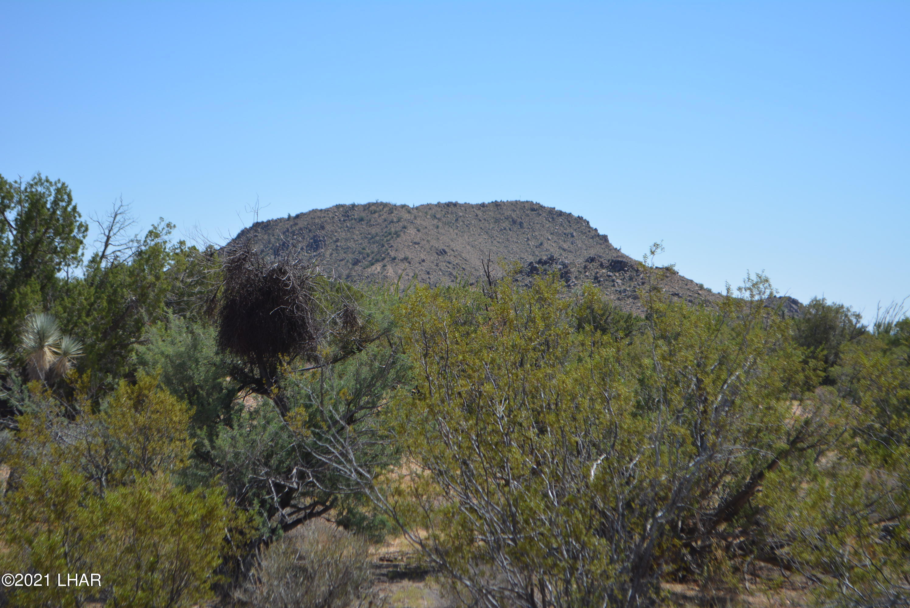 8 South Gold Mine Road Yucca, AZ 86438 - Photo 23 of 41 DSC_0353