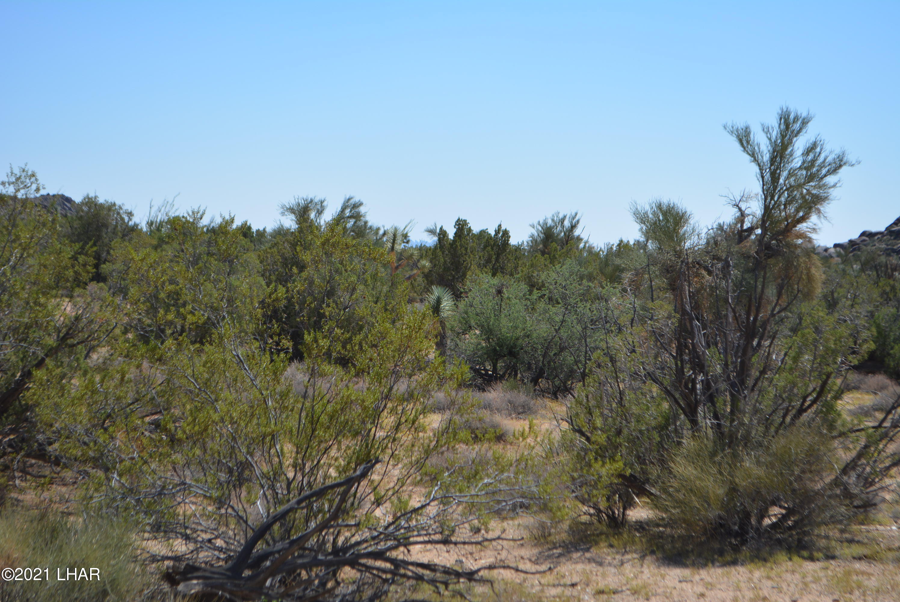 8 South Gold Mine Road Yucca, AZ 86438 - Photo 24 of 41 DSC_0354