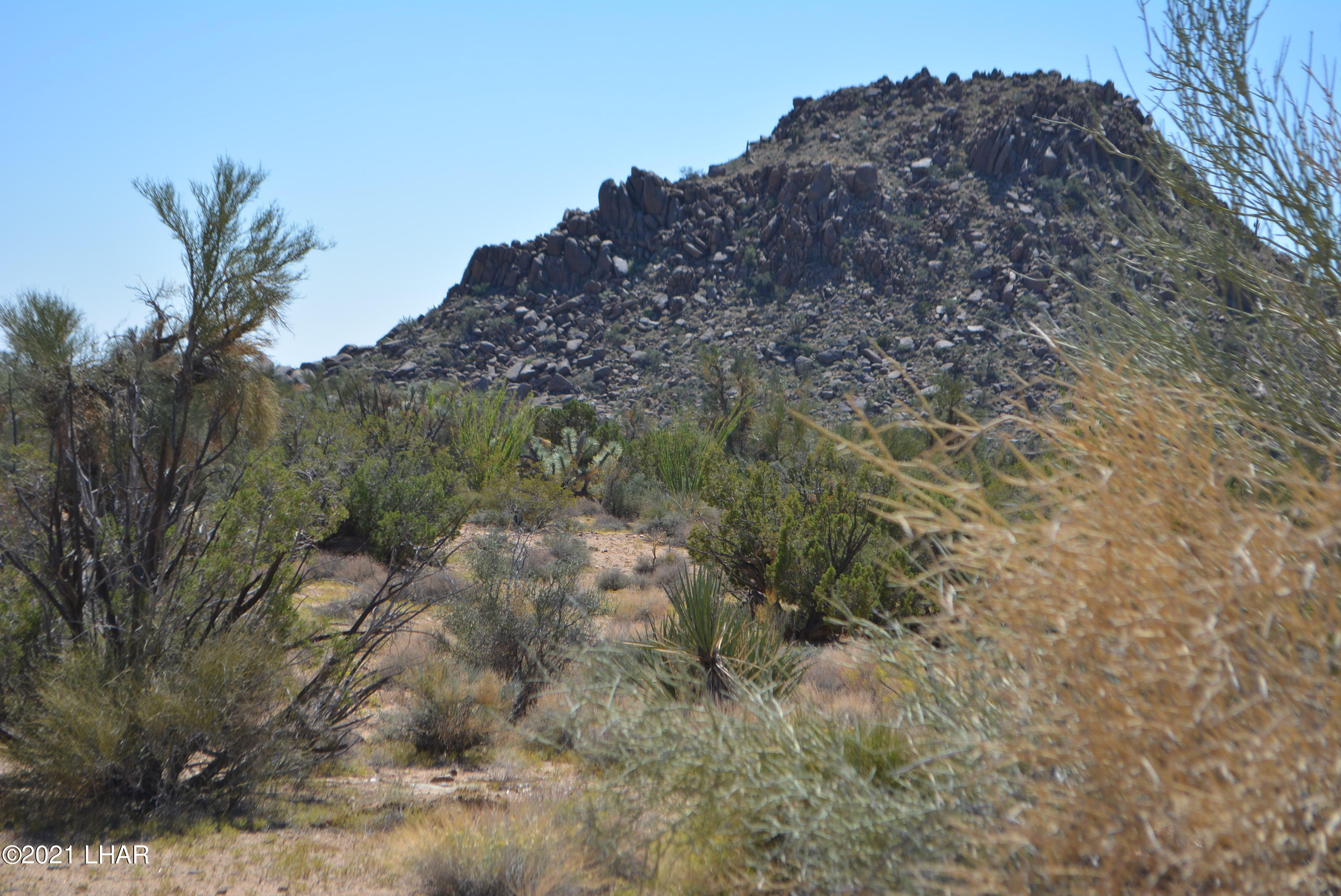 8 South Gold Mine Road Yucca, AZ 86438 - Photo 25 of 41 DSC_0355