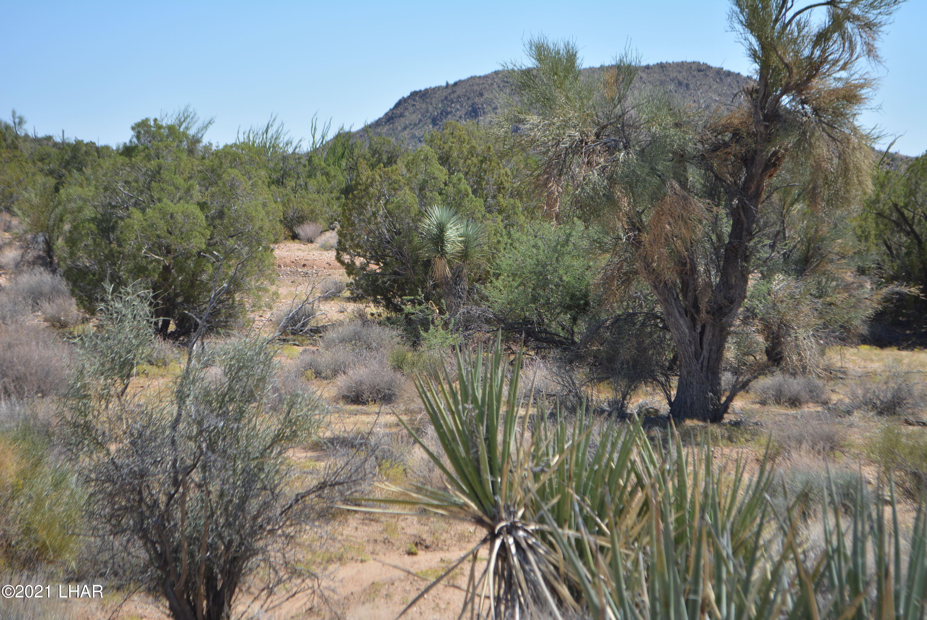 8 South Gold Mine Road Yucca, AZ 86438 - Photo 26 of 41 DSC_0356