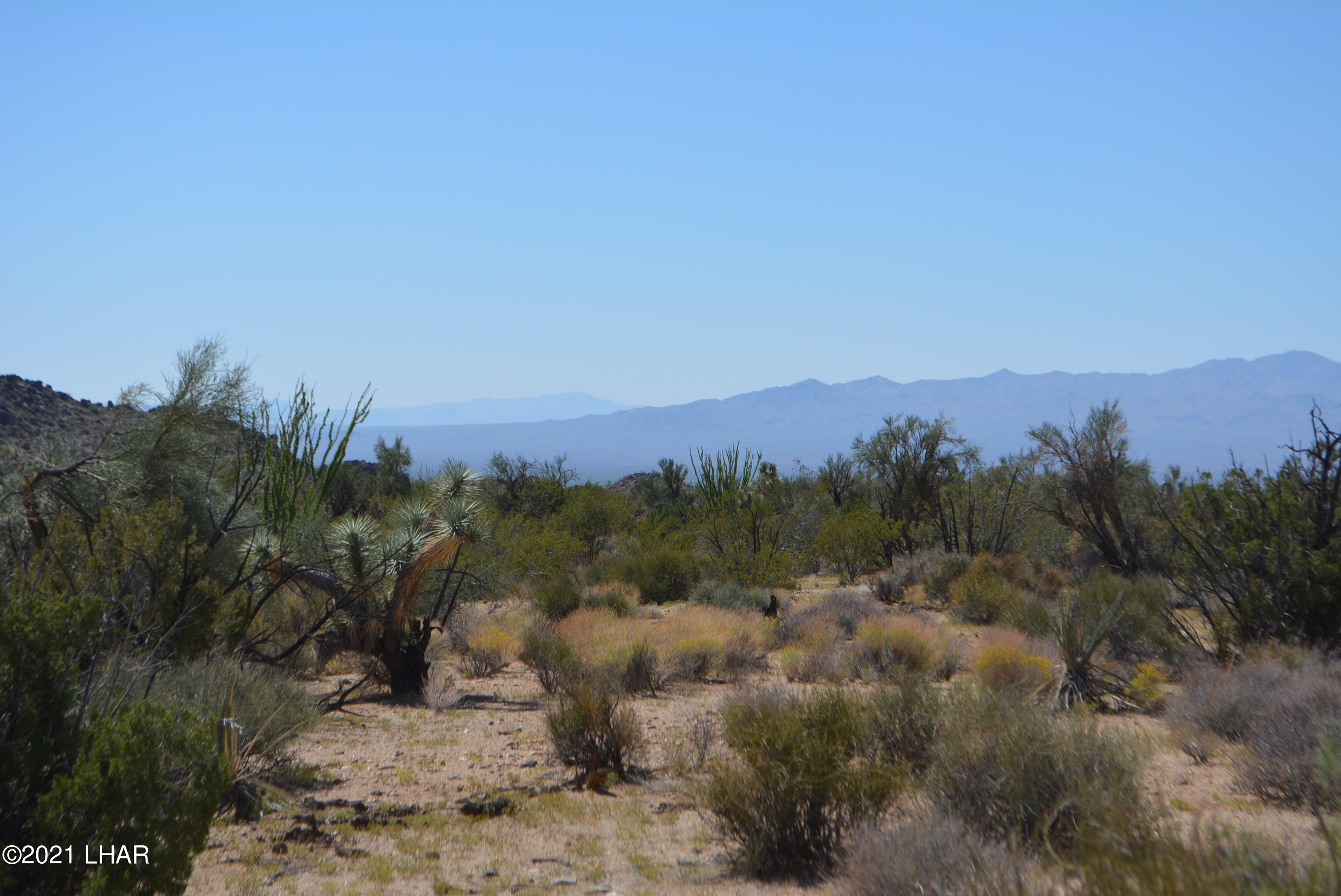 8 South Gold Mine Road Yucca, AZ 86438 - Photo 28 of 41 DSC_0358