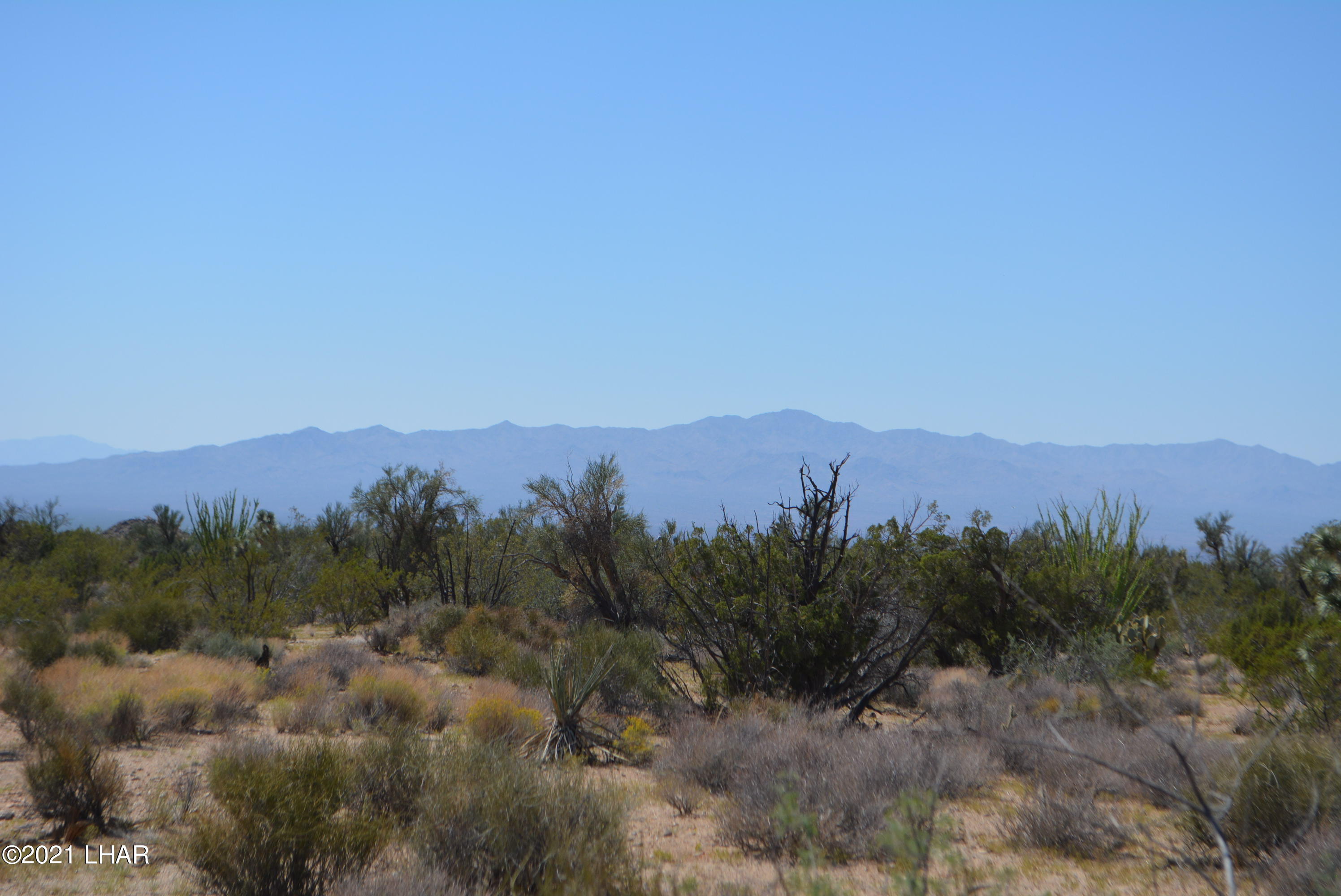 8 South Gold Mine Road Yucca, AZ 86438 - Photo 29 of 41 DSC_0359