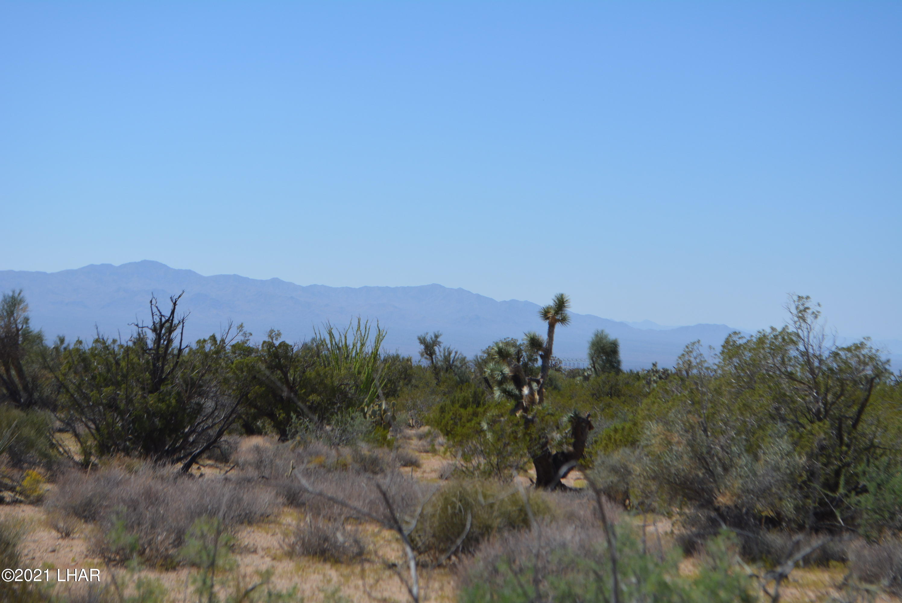 8 South Gold Mine Road Yucca, AZ 86438 - Photo 30 of 41 DSC_0360