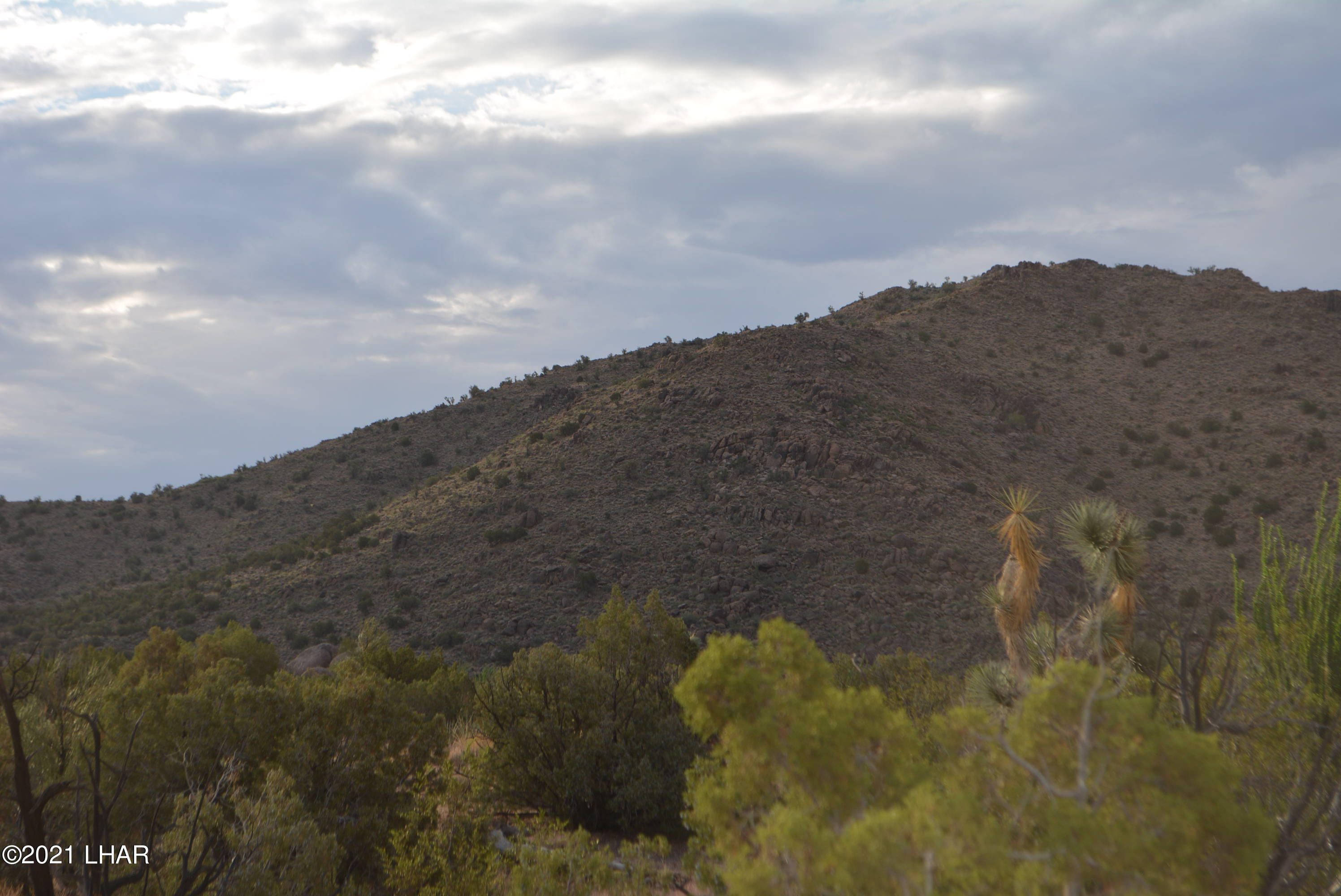 8 South Gold Mine Road Yucca, AZ 86438 - Photo 3 of 41 DSC_0054