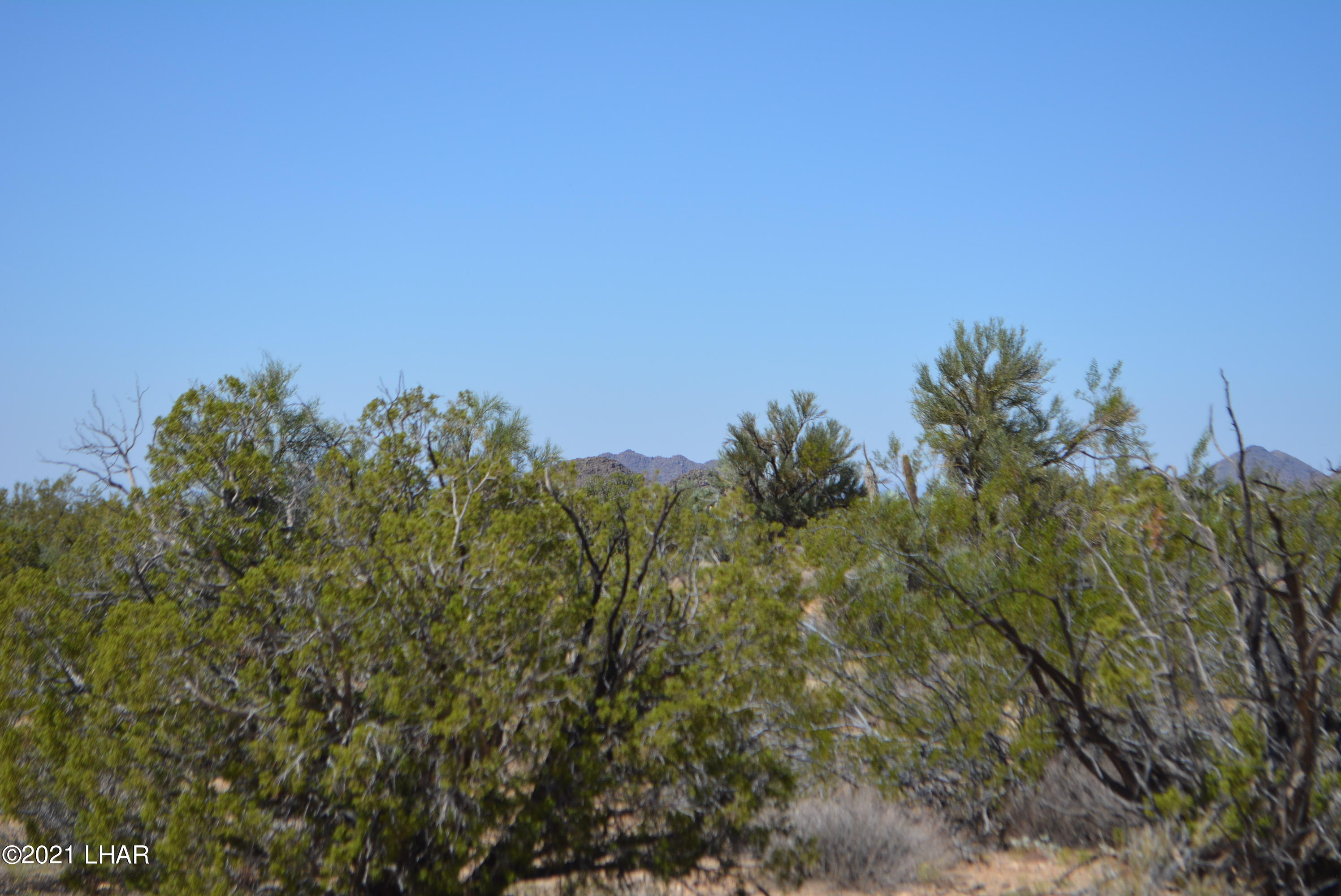 8 South Gold Mine Road Yucca, AZ 86438 - Photo 31 of 41 DSC_0361
