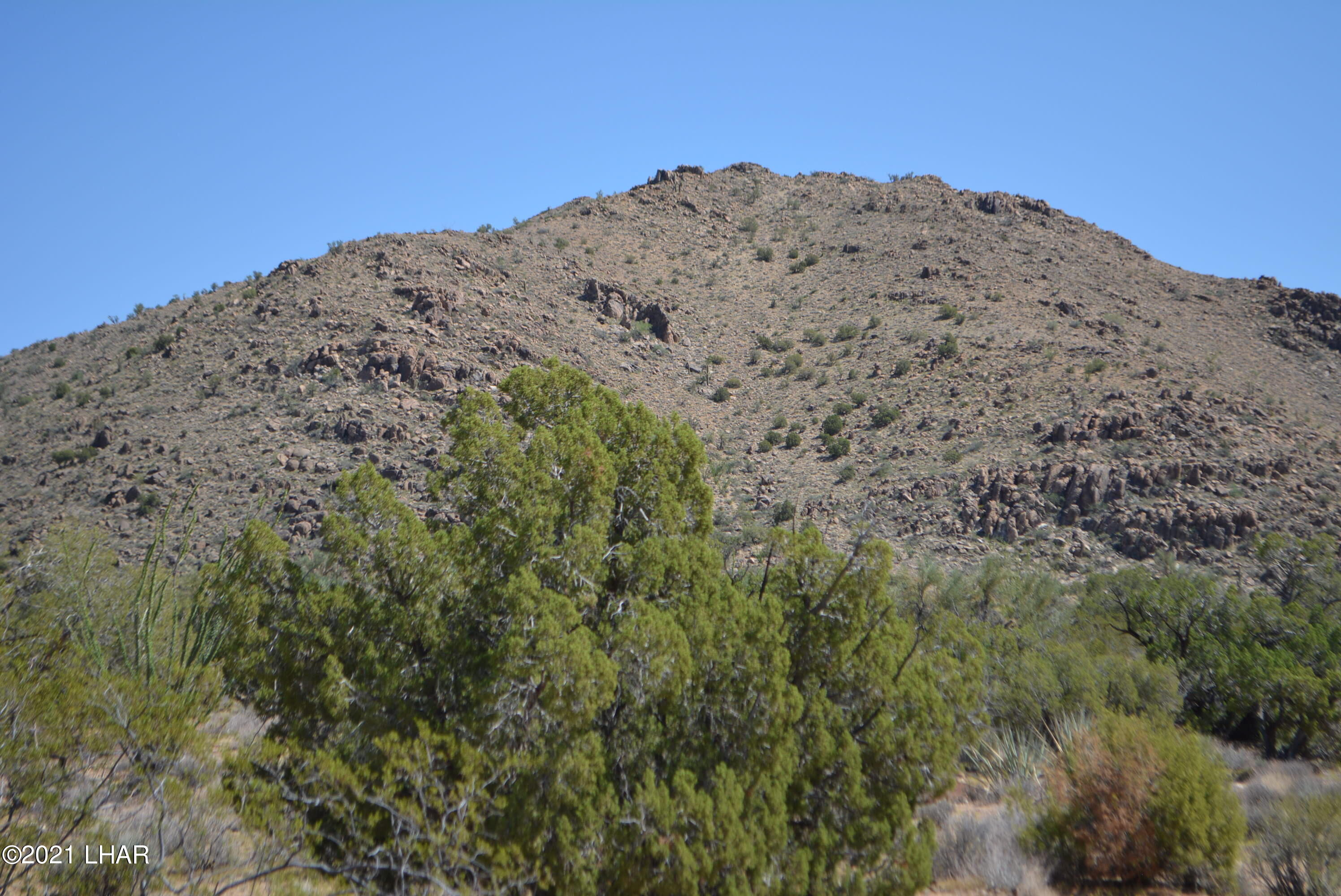 8 South Gold Mine Road Yucca, AZ 86438 - Photo 35 of 41 DSC_0365