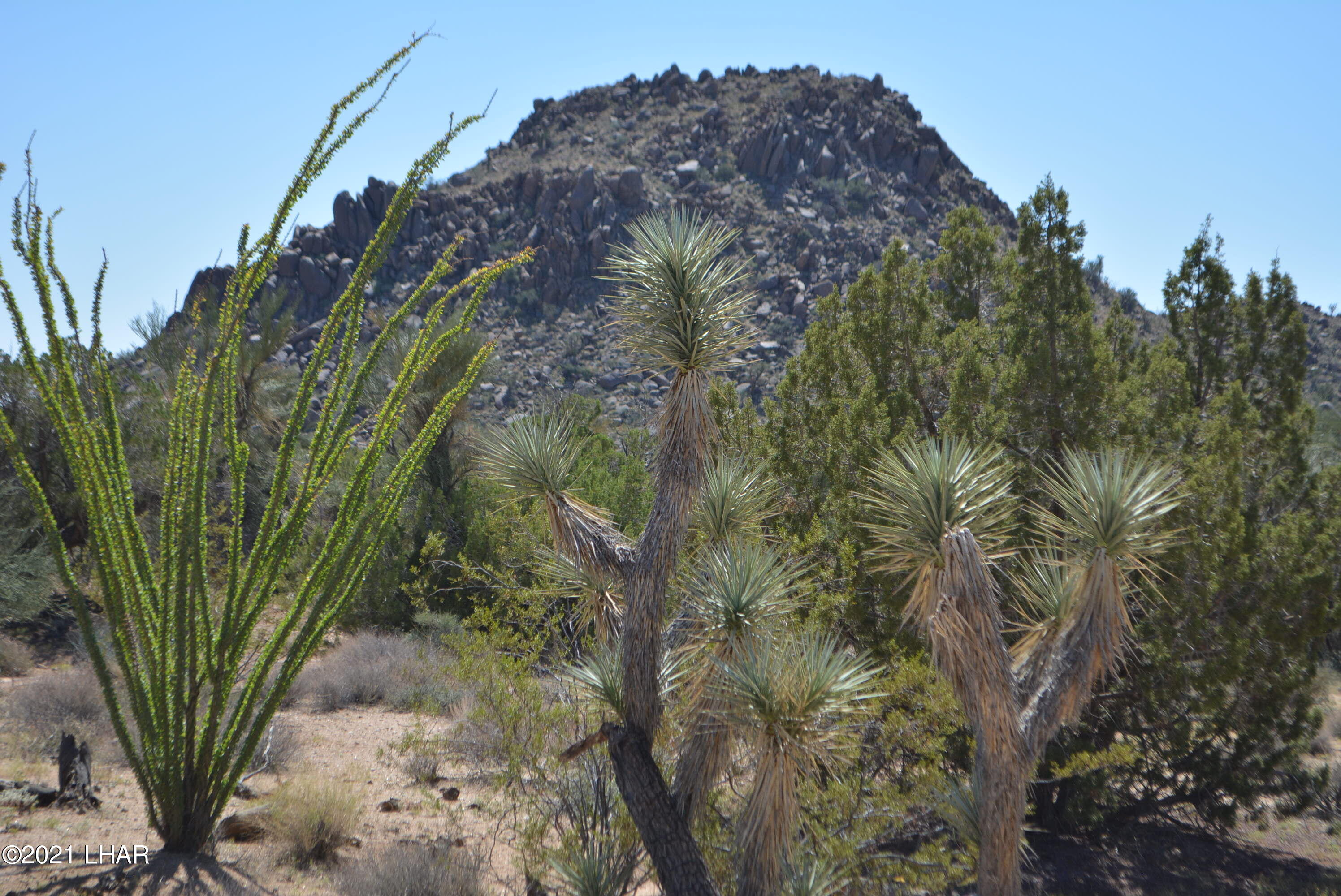 8 South Gold Mine Road Yucca, AZ 86438 - Photo 36 of 41 DSC_0366