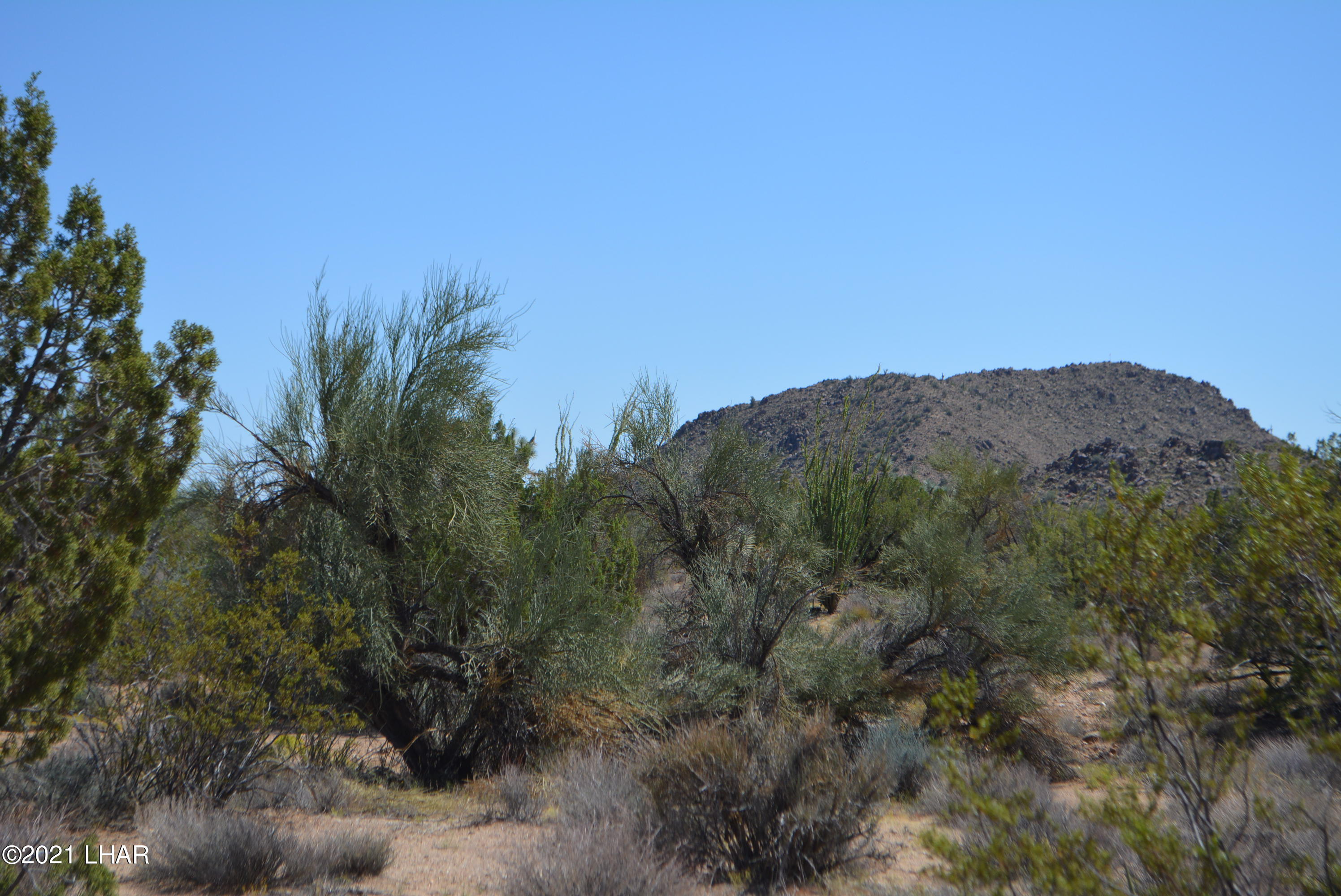 8 South Gold Mine Road Yucca, AZ 86438 - Photo 38 of 41 DSC_0368