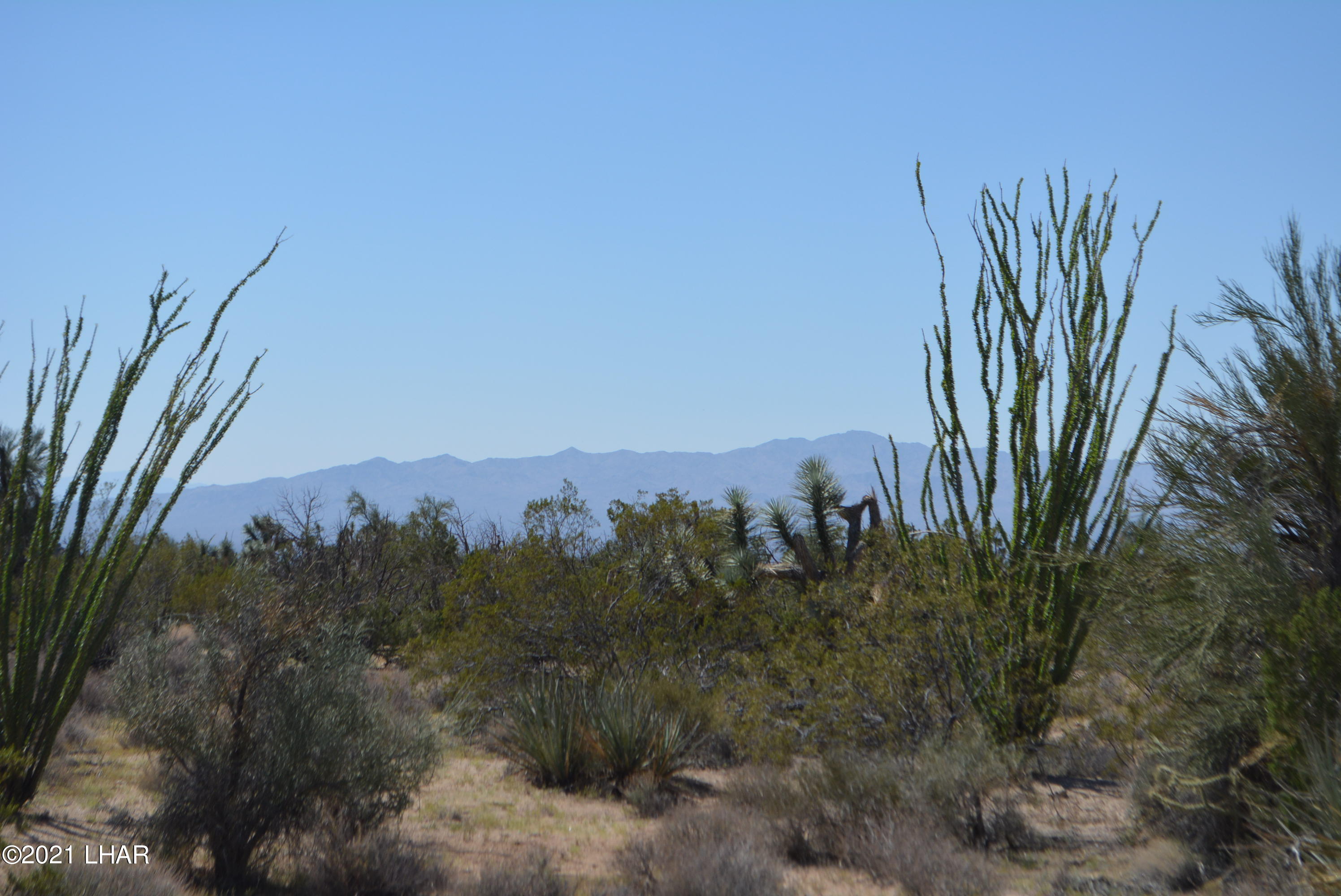 8 South Gold Mine Road Yucca, AZ 86438 - Photo 39 of 41 DSC_0369