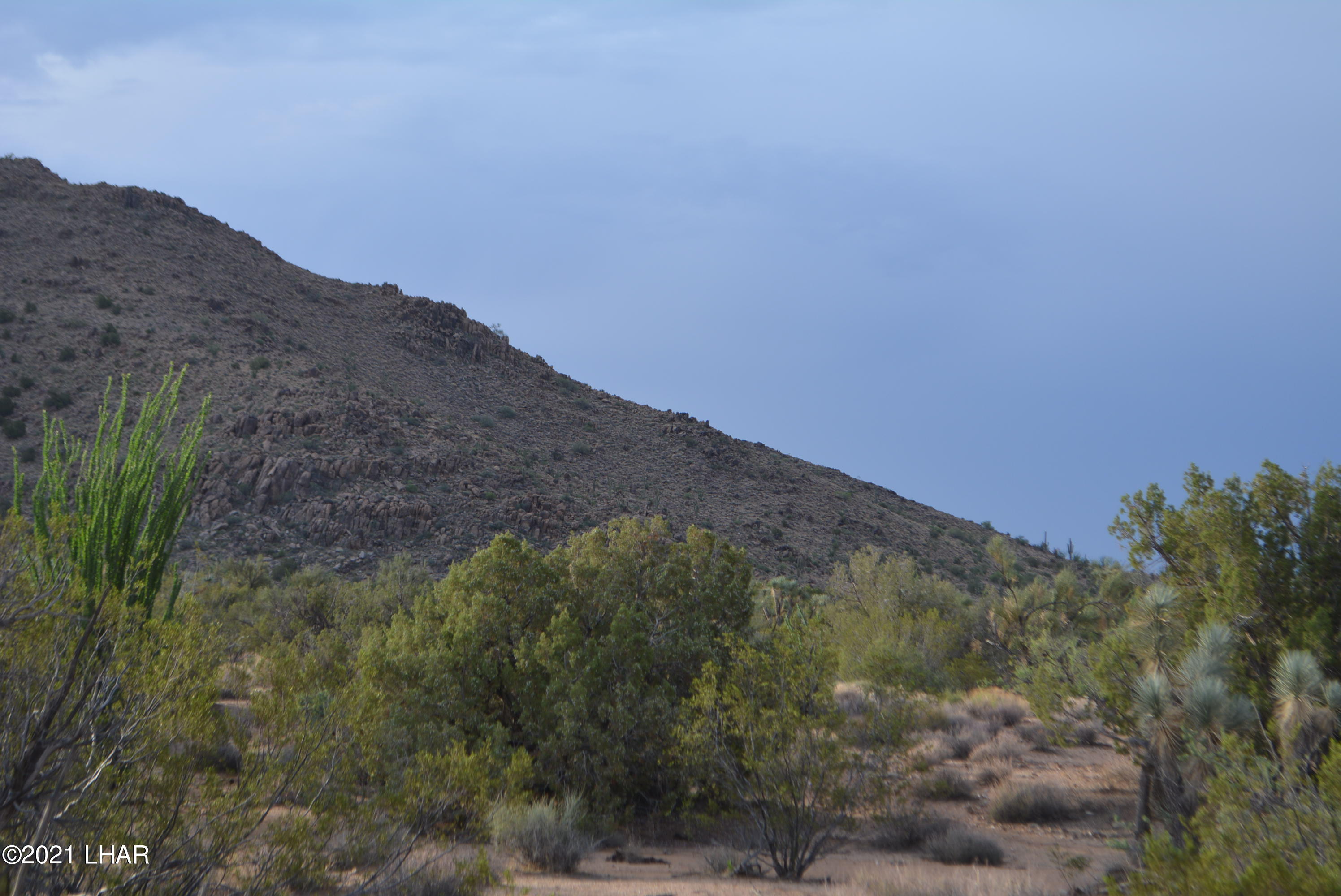 8 South Gold Mine Road Yucca, AZ 86438 - Photo 4 of 41 DSC_0055