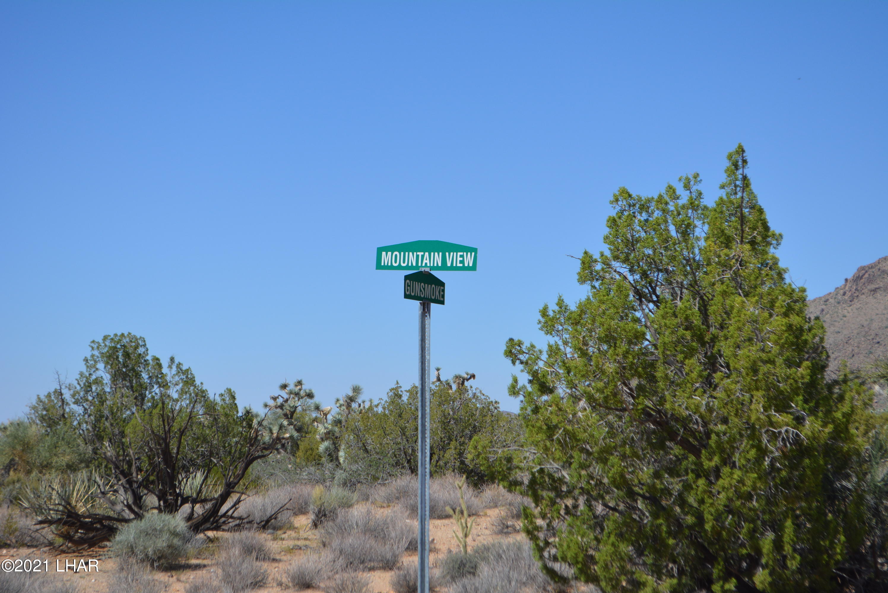 8 South Gold Mine Road Yucca, AZ 86438 - Photo 41 of 41 DSC_0371