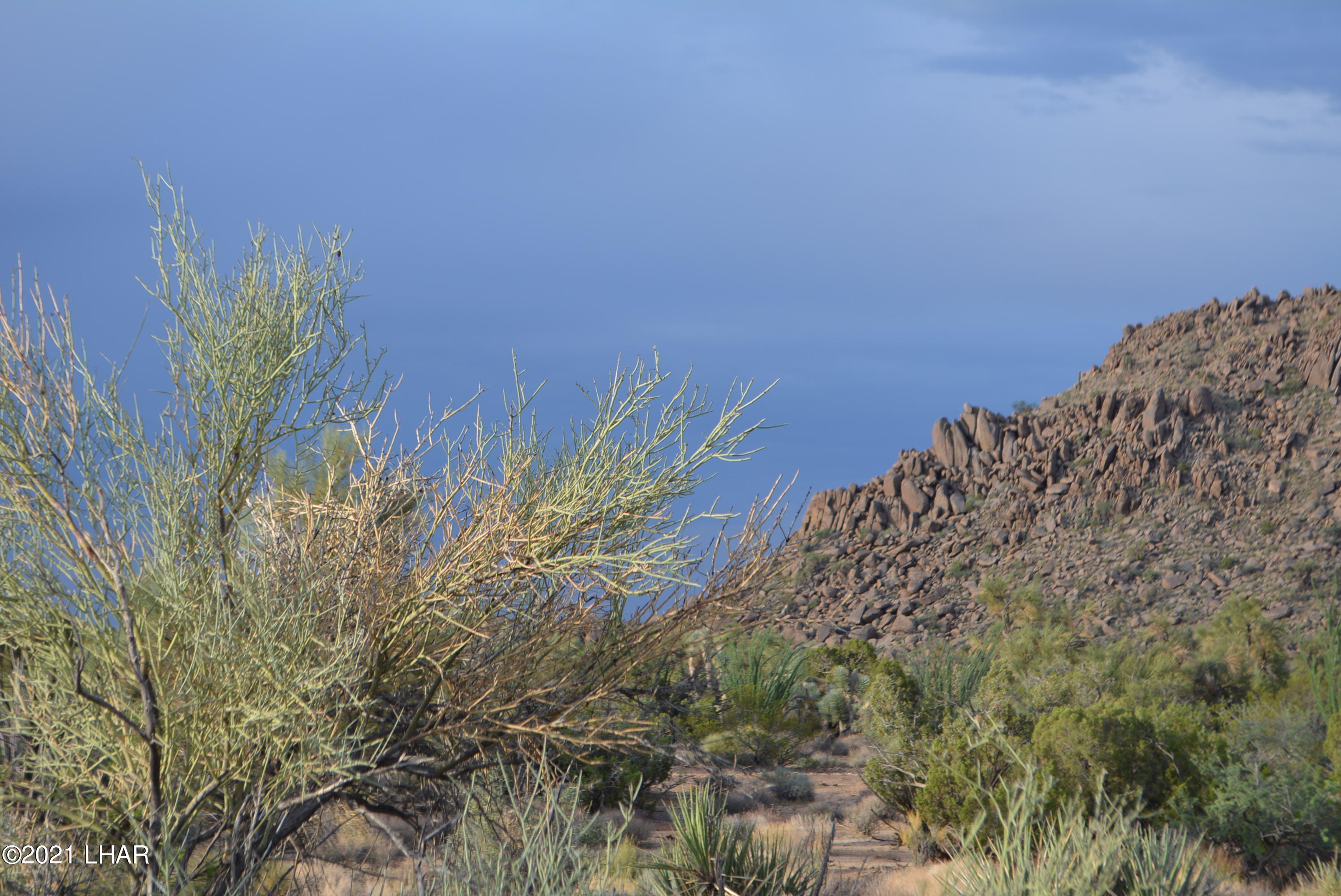 8 South Gold Mine Road Yucca, AZ 86438 - Photo 6 of 41 DSC_0057