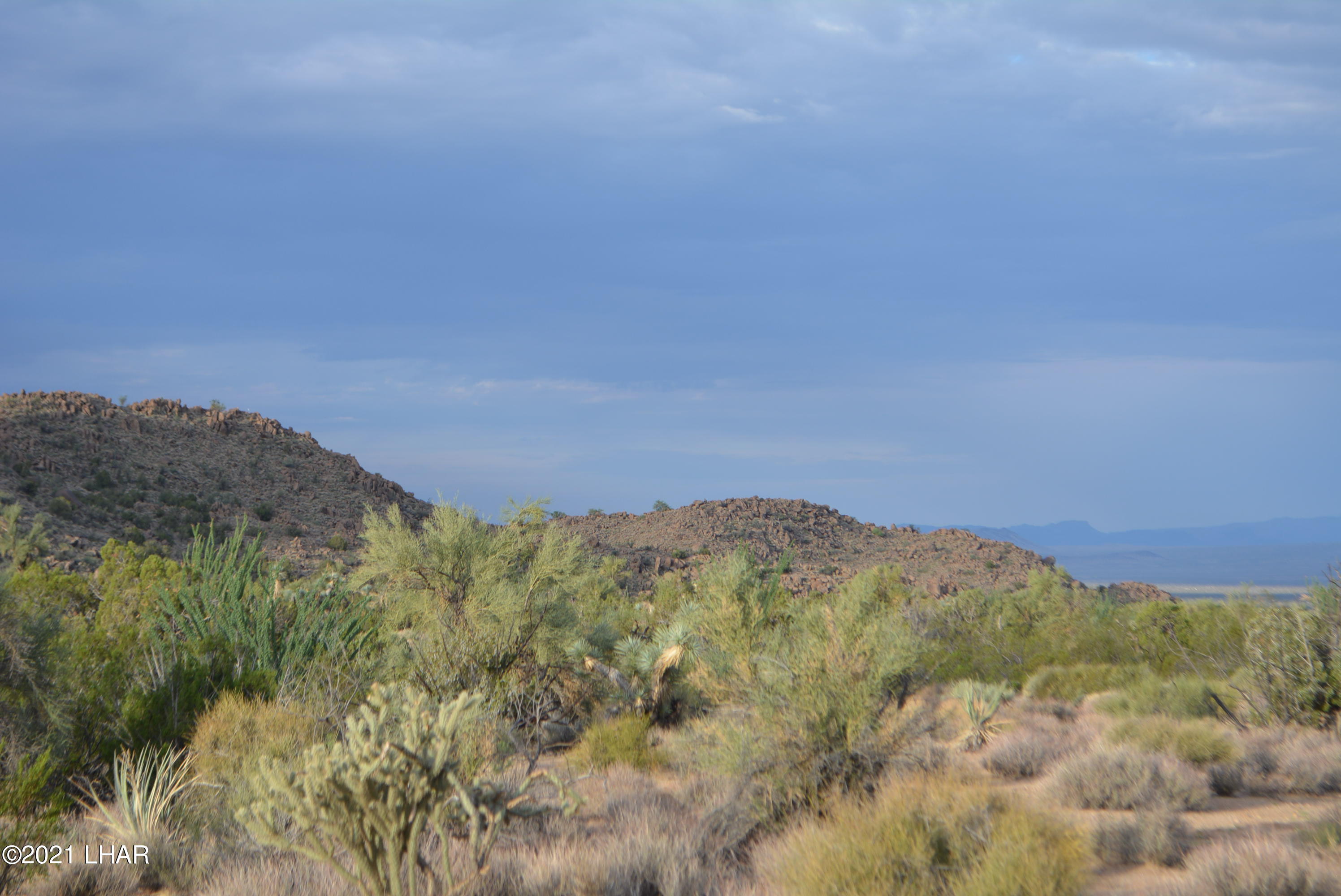 8 South Gold Mine Road Yucca, AZ 86438 - Photo 8 of 41 DSC_0059