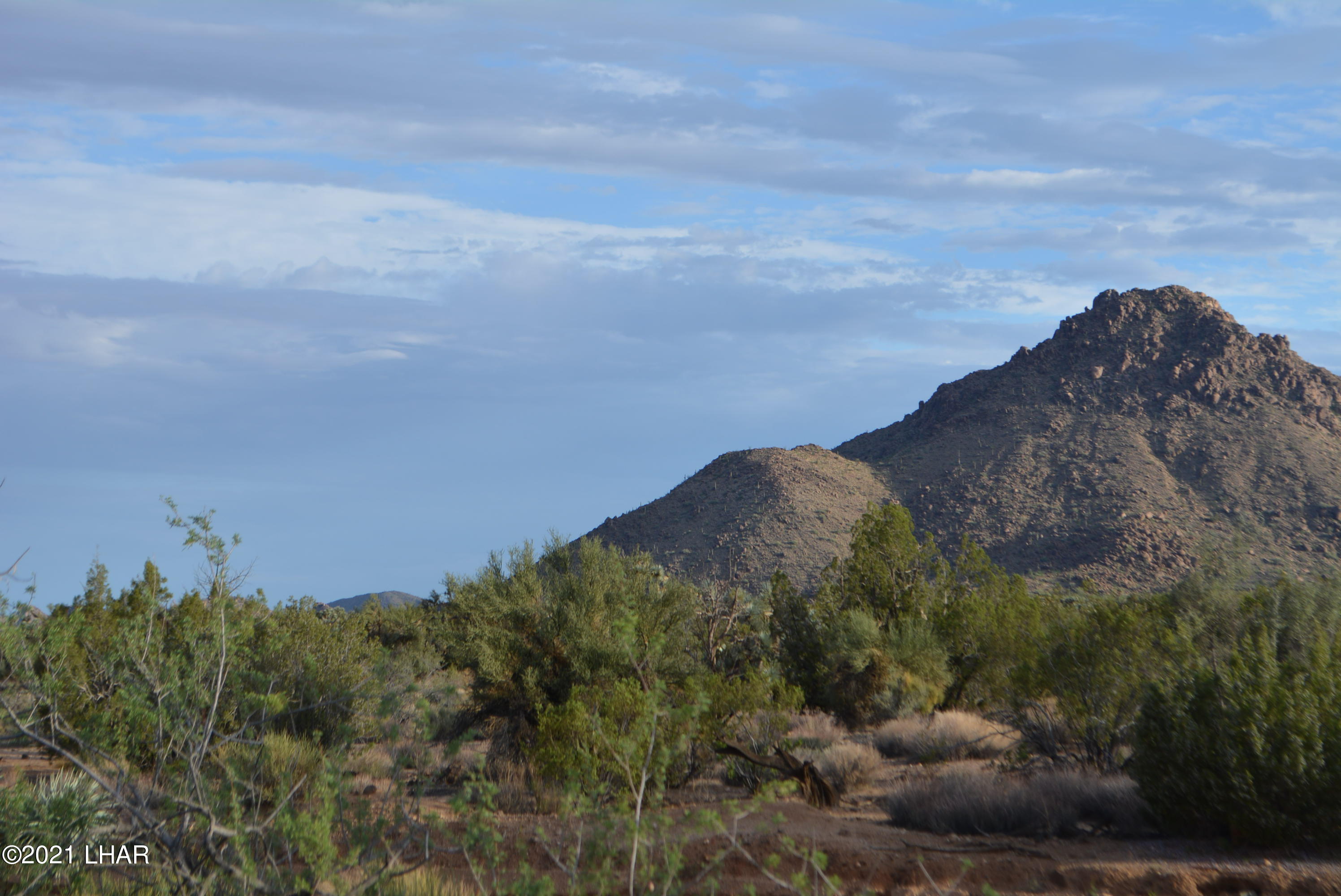 8 South Gold Mine Road Yucca, AZ 86438 - Photo 9 of 41 DSC_0060