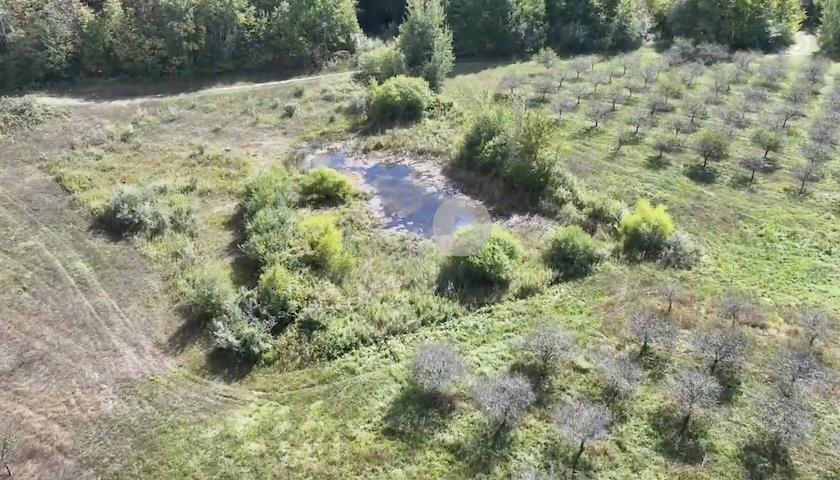 East Potter Road Traverse City, MI 49696 - Photo 12 of 26 1929255-3C336D03-A66A-4ED1-B07C-6DE11D83B649.JPG