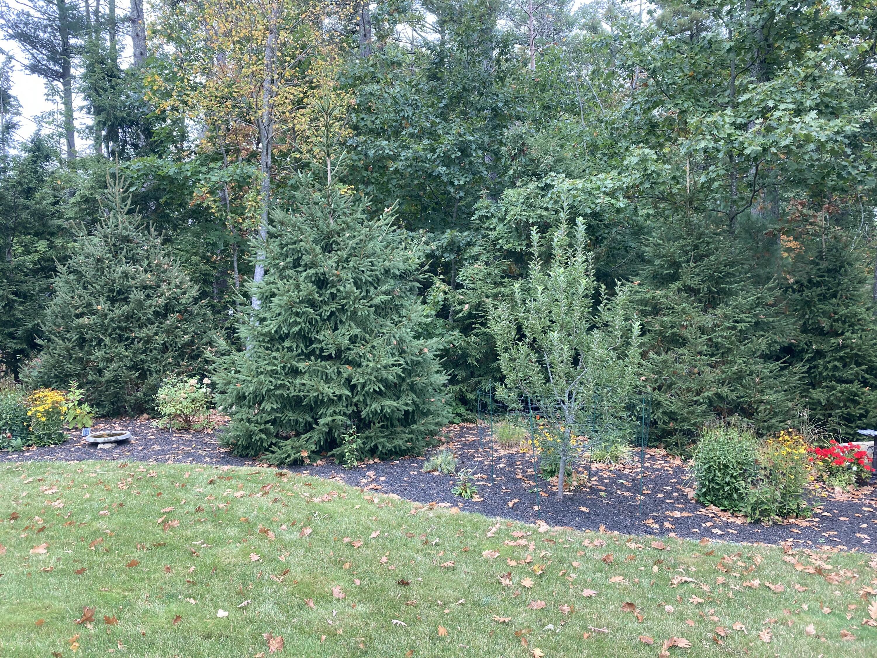 210 Rabbit Run Wells, ME 04090 - Photo 102 of 119 IMG_5378