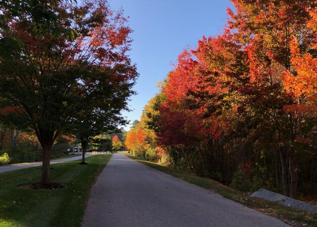 210 Rabbit Run Wells, ME 04090 - Photo 94 of 119 IMG_6024