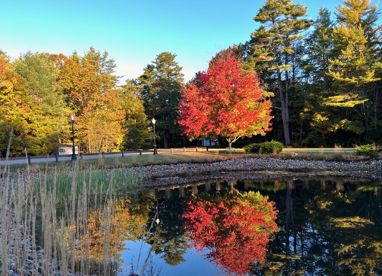 210 Rabbit Run Wells, ME 04090 - Photo 96 of 119 IMG_6030