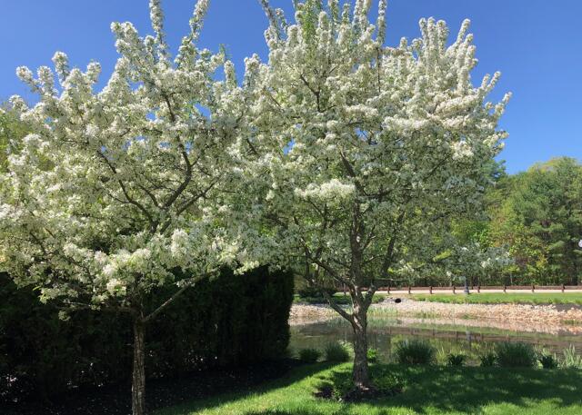 210 Rabbit Run Wells, ME 04090 - Photo 98 of 119 IMG_6028