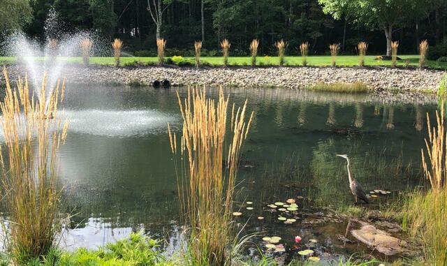 210 Rabbit Run Wells, ME 04090 - Photo 99 of 119 IMG_6021