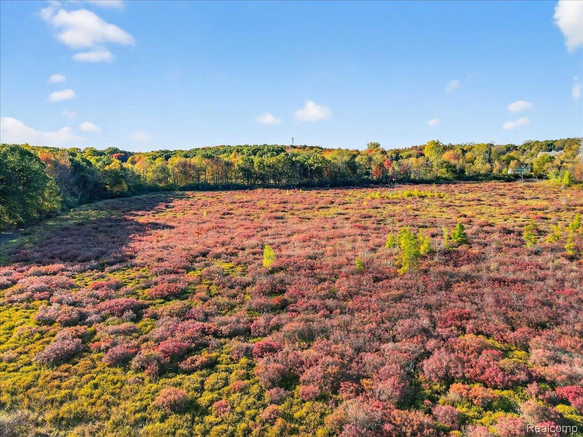 4050 Metamora Ridge Road Metamora, MI 48455 - Photo 18 of 65 47-2025.jpg