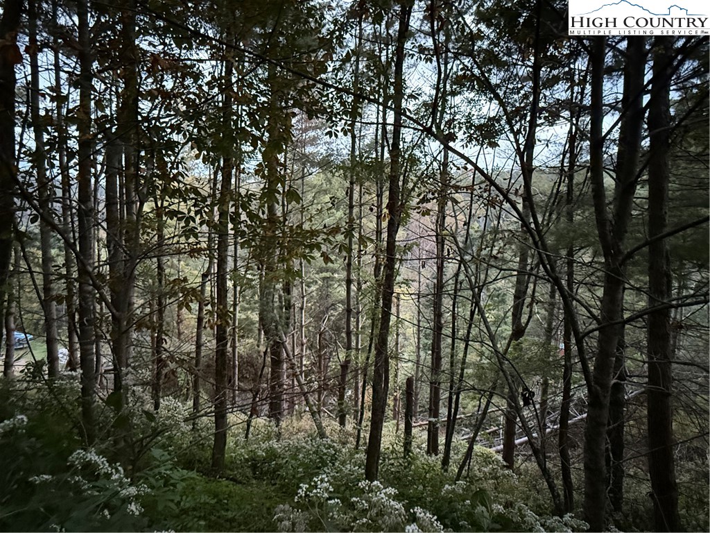 360 Baldwin Gap Road Creston, NC 28615 - Photo 11 of 23 Gallery Image 11