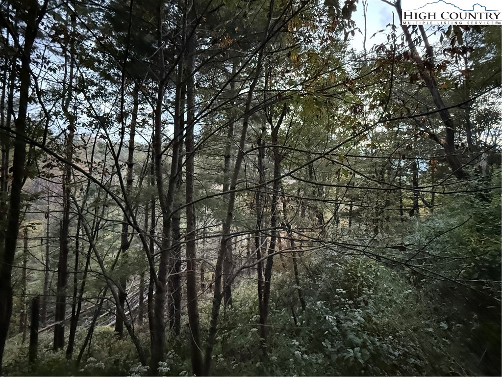 360 Baldwin Gap Road Creston, NC 28615 - Photo 13 of 23 Gallery Image 13