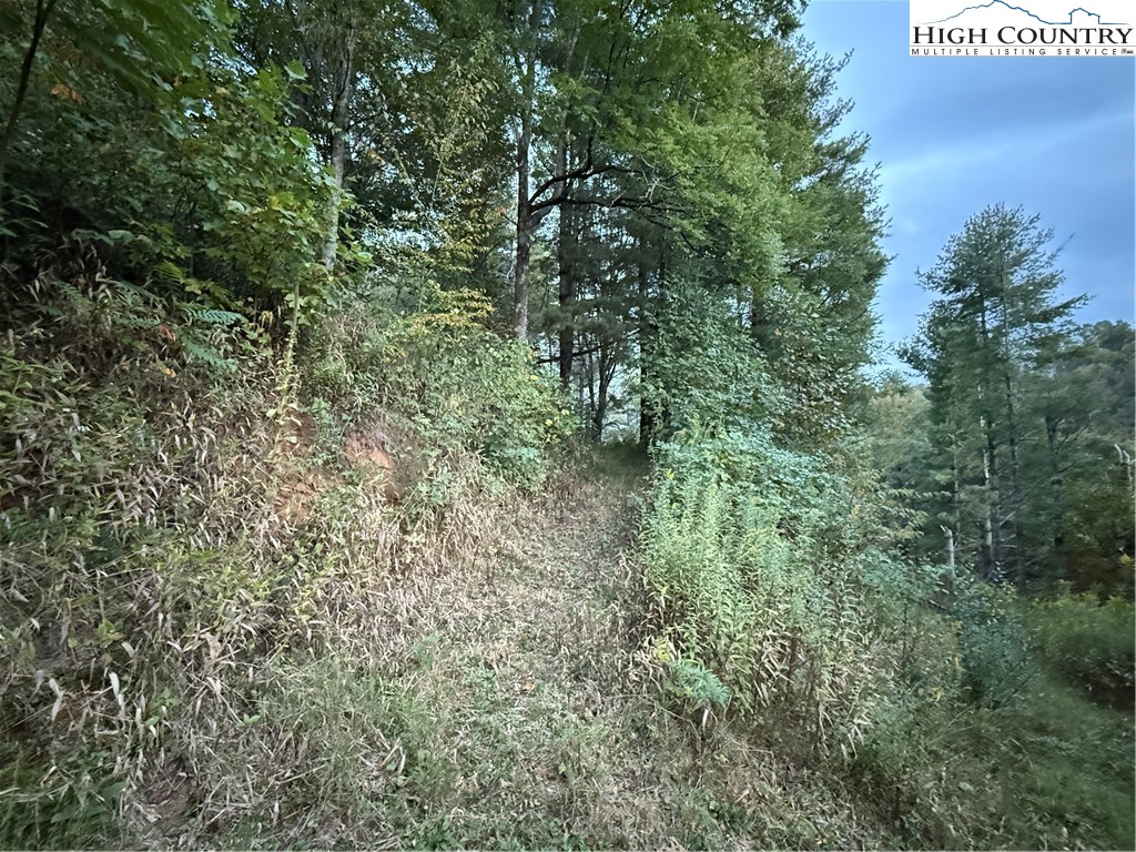 360 Baldwin Gap Road Creston, NC 28615 - Photo 16 of 23 Gallery Image 16