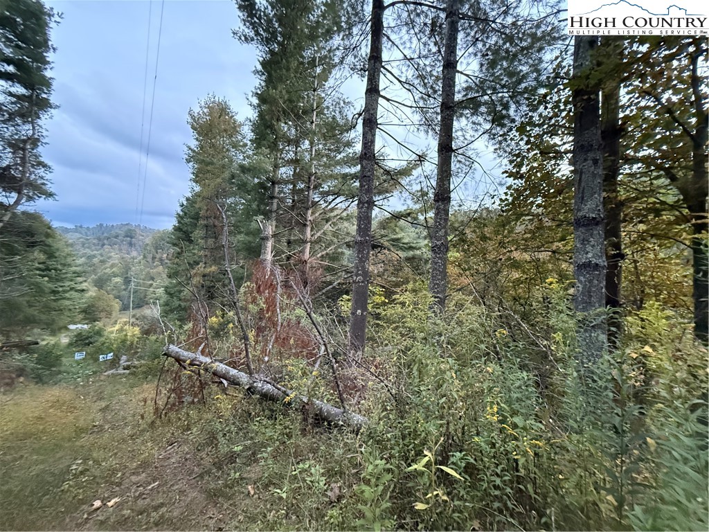360 Baldwin Gap Road Creston, NC 28615 - Photo 17 of 23 Gallery Image 17