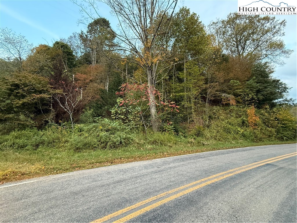 360 Baldwin Gap Road Creston, NC 28615 - Photo 19 of 23 Gallery Image 19