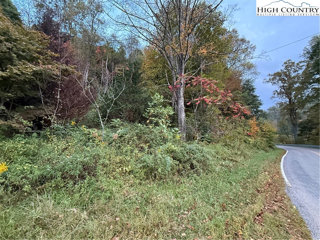 360 Baldwin Gap Road Creston, NC 28615 - Photo 20 of 23 Gallery Image 20