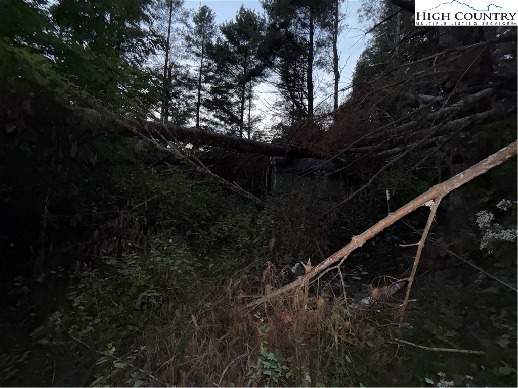 360 Baldwin Gap Road Creston, NC 28615 - Photo 23 of 23 Gallery Image 23