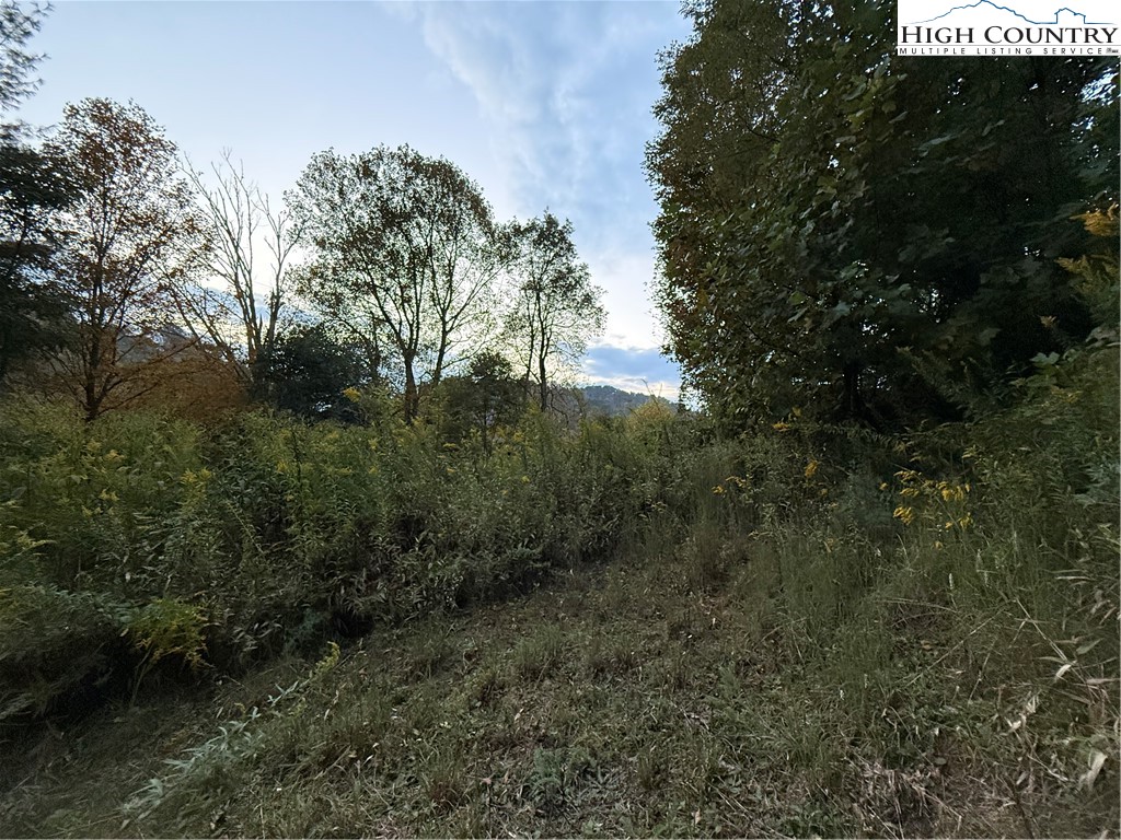 360 Baldwin Gap Road Creston, NC 28615 - Photo 6 of 23 Gallery Image 6